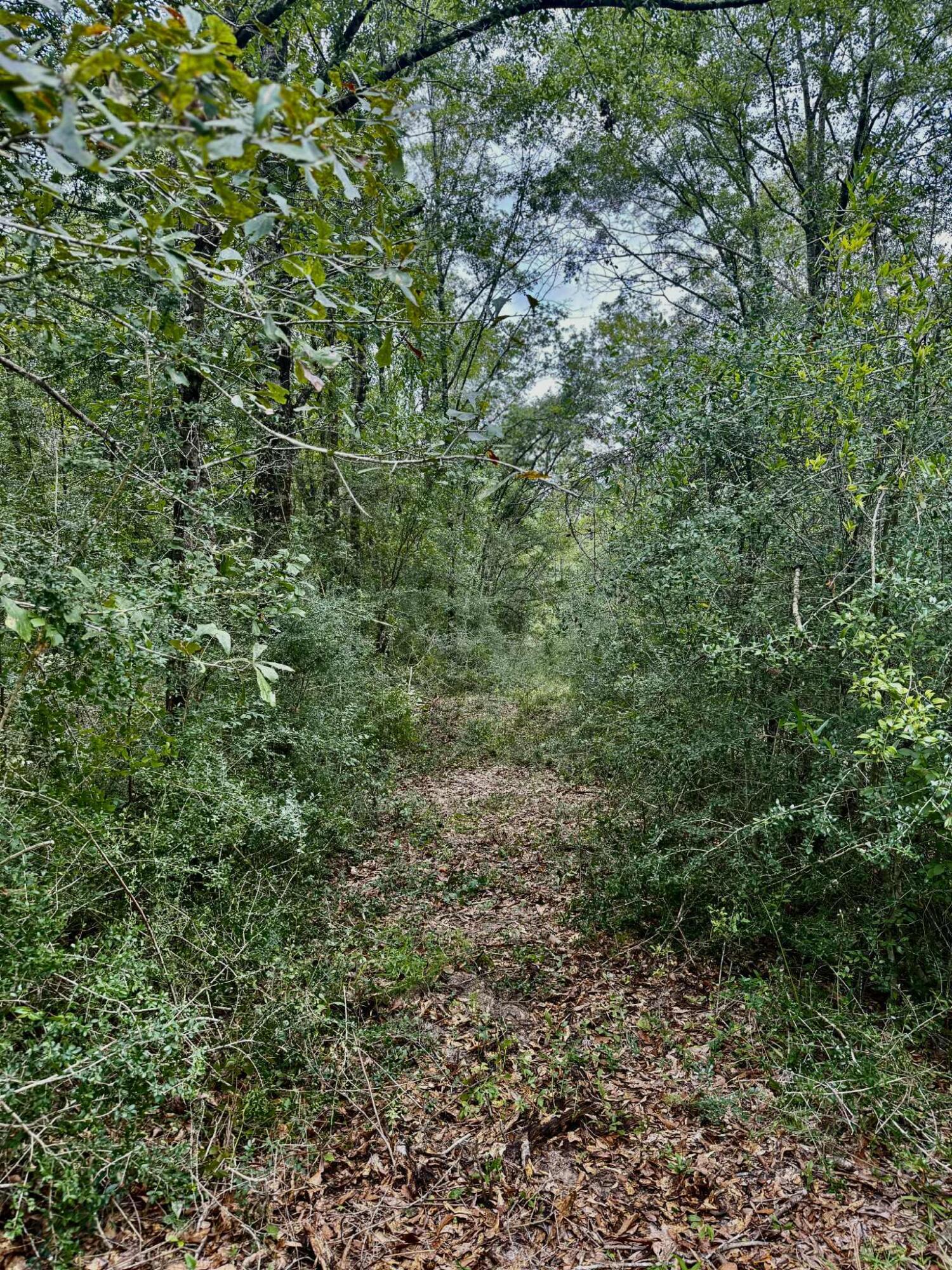 N/A - Farm