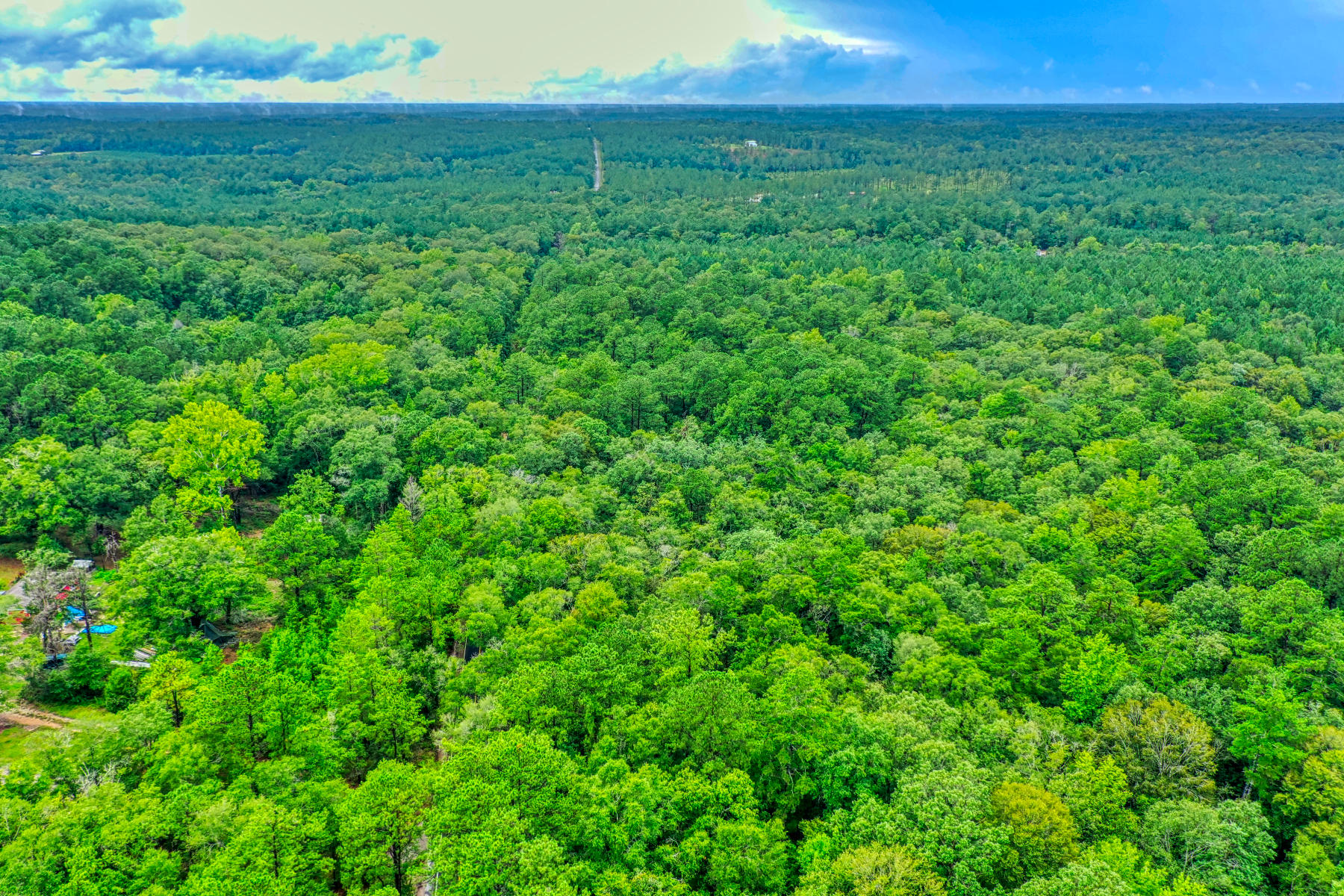 Beautiful 47 +/- Acres in one of the most sought after locations in Walton County! This property is located just off of Coy Burgess Loop and is centrally located to Freeport, Crestview and Niceville! This property is unrestricted, located on a paved road and borders Sconiers Mill Creek throughout the parcel. Large deer and turkey are here! Build a home on the creek and retire here! This is a one of a kind and won't last long! Only 4,000 per acre! Drone photos will be uploaded in the future. Don't miss out, call for your tour today!