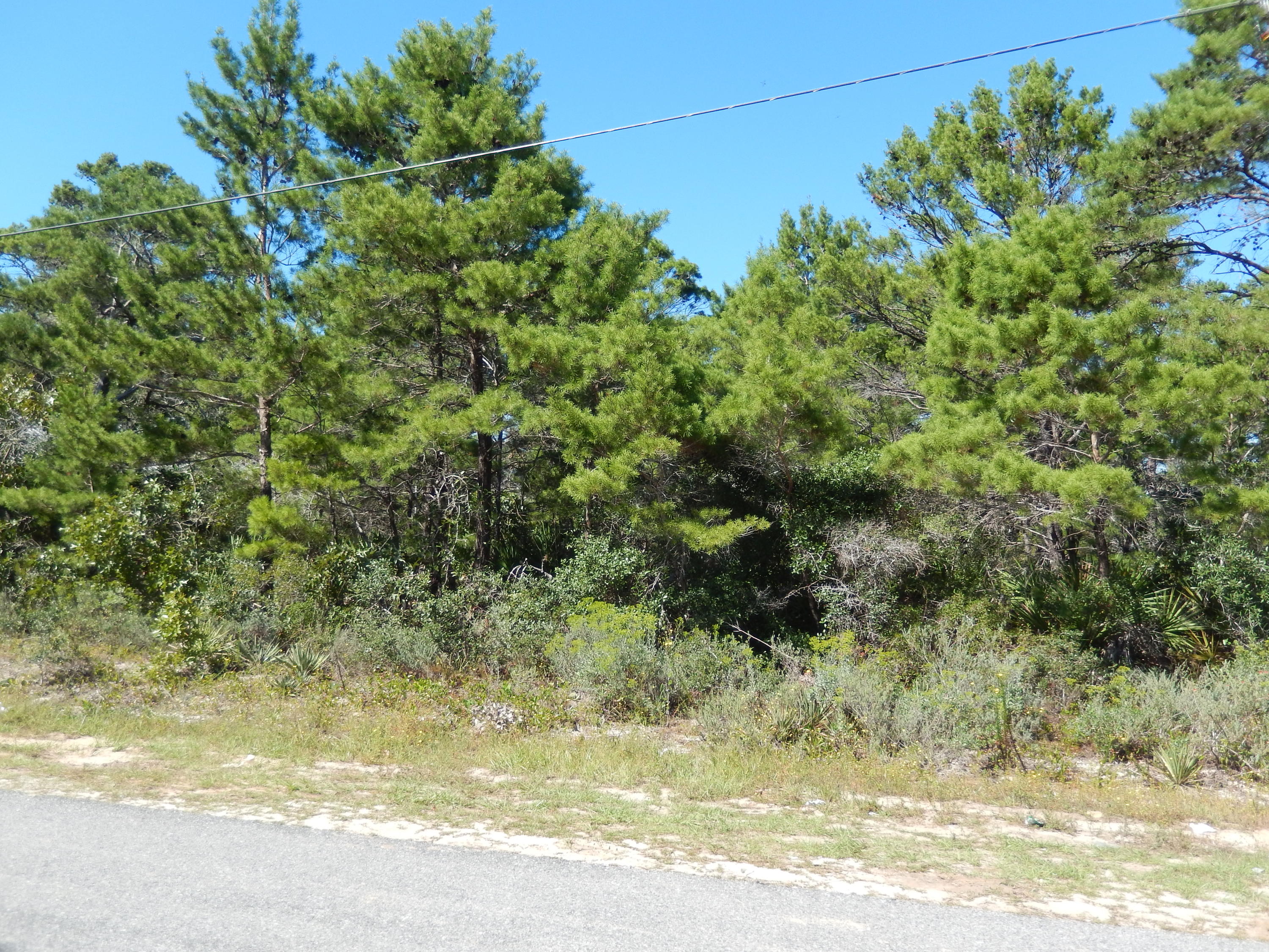 Beach access is only a few blocks from this lot, with Maple Street being one street north of 30A. Maple Street has newly constructed houses near this lot as well as new houses on Birch Street which joins rear of this lot. Large lot will accommodate house, pool, etc.