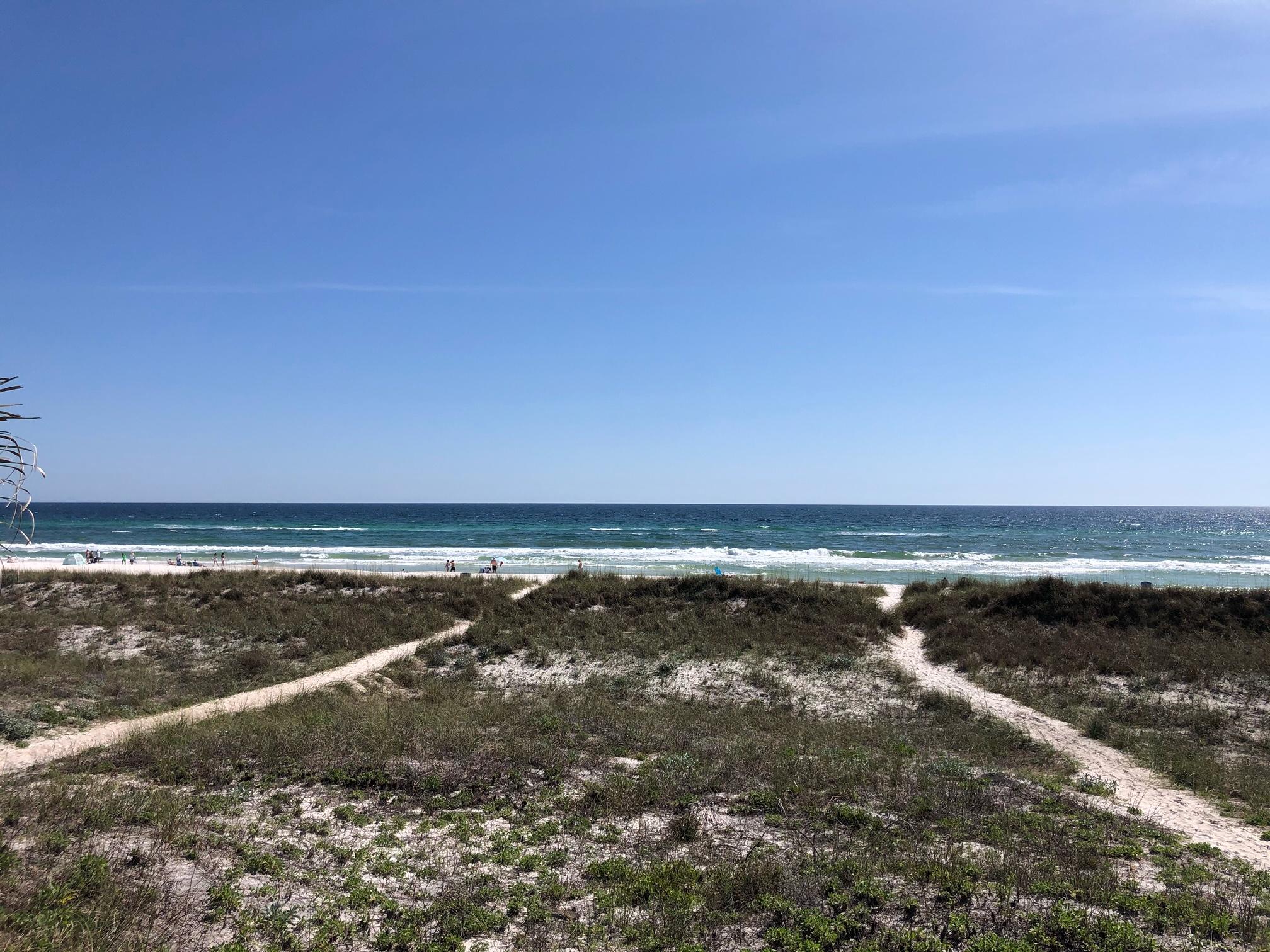 PARADISE GROVE - Land