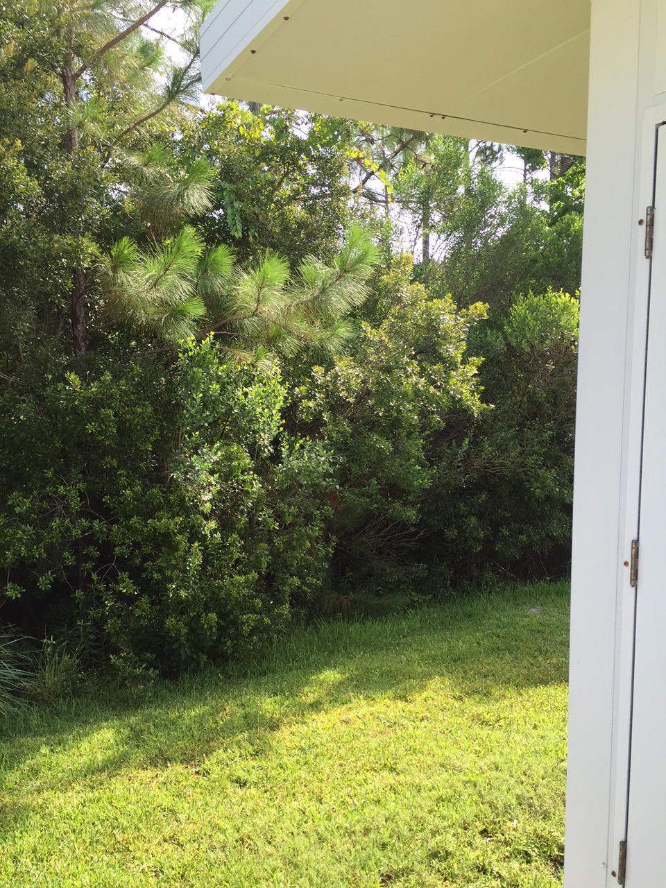 Palmetto Trace - Residential