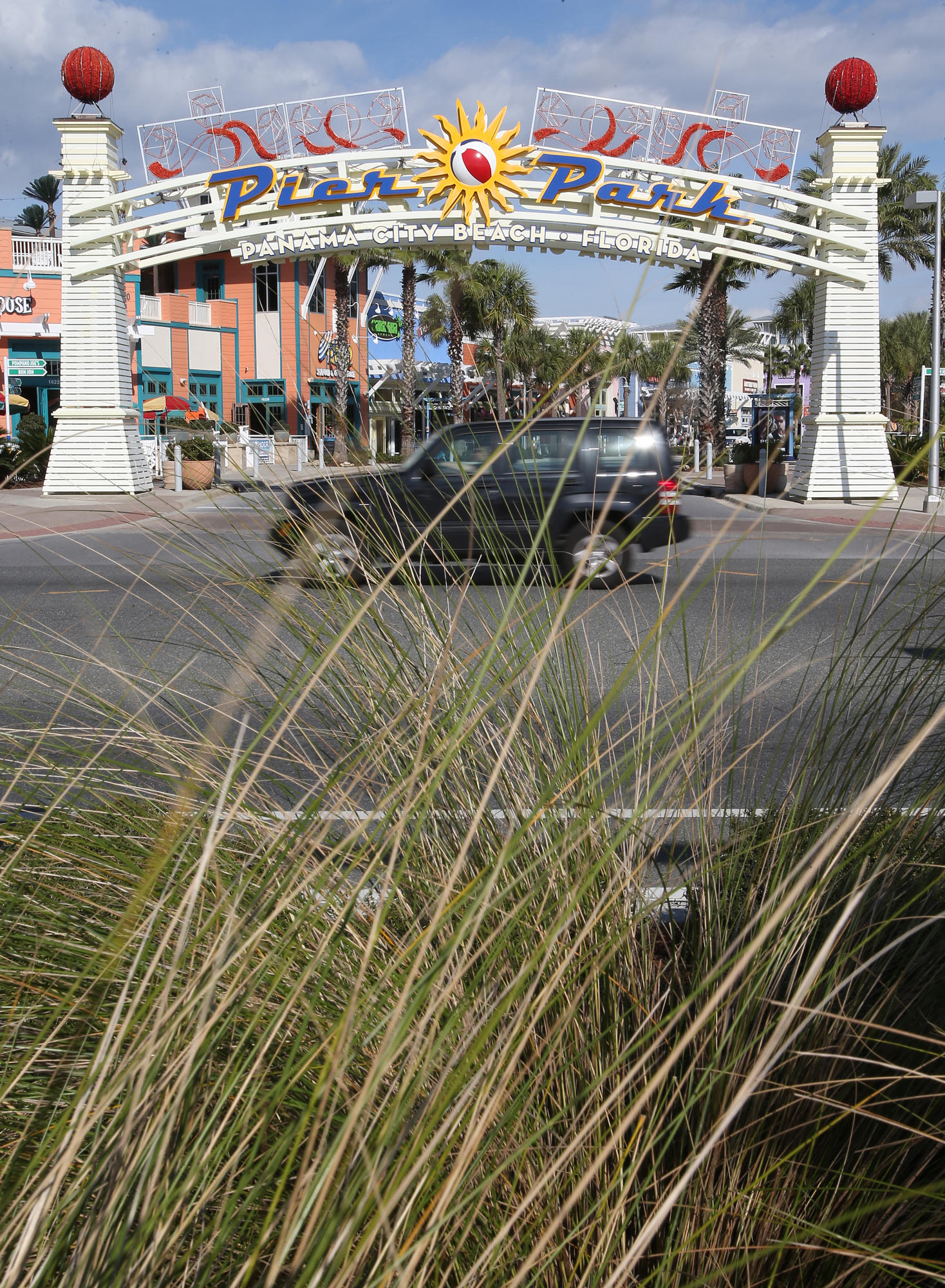 Palmetto Trace - Residential