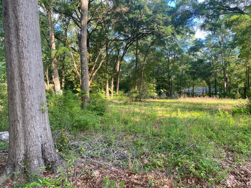 Great building lot with beautiful trees.  This property is at a dead end and close to Baker School.