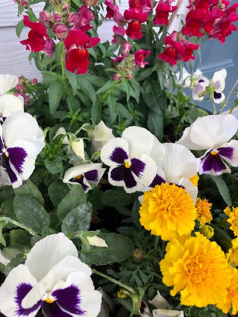 WATER OAKS - Residential