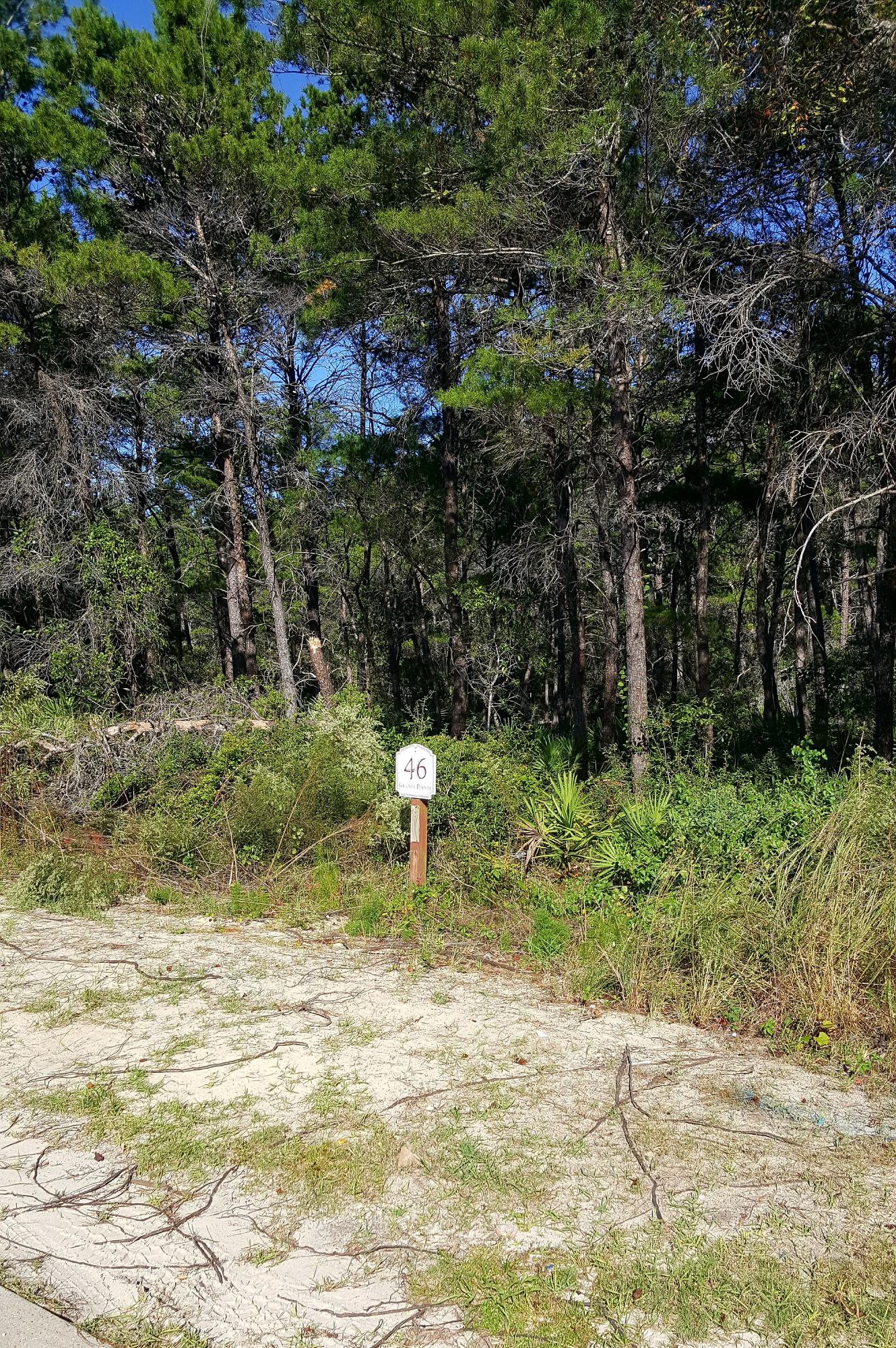 Primo lot to build your dream home in a lovely gated community in Inlet Beach. Fabulous location with close proximity to the beach, shopping, restaurants, and entertainment for the family. Minutes away from Rosemary Beach, 30A Avenue, Grand Boulevard, Pier Park, and Camp Helen State Park. Grande Pointe is a gorgeous and growing community boasting tons of amenities, lush landscaping, and brick pavers throughout.