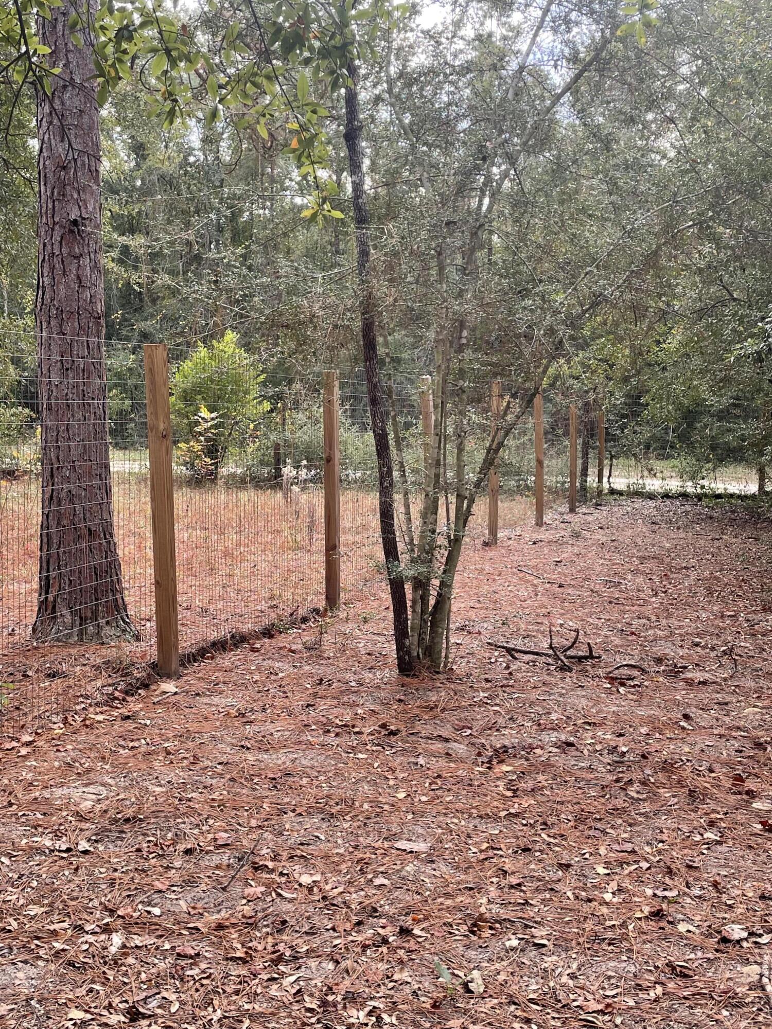 Enchanting Corner Lot in Defuniak Springs - A Blend of Nature and Convenience.Nestled in the heart of Defuniak Springs, this stunning corner lot at offers a perfect blend of rural charm and modern convenience. Spread across a generous expanse, this cleared and beautifully fenced land is an idyllic canvas for your dream home.Situated on a peaceful corner, the lot backs up to 60 acres of pristine, undeveloped forest, offering both privacy and a serene natural backdrop. The perimeter is secured with 4x4 pressure-treated posts and a 6-foot galvanized wire fence, ensuring durability and security. For added aesthetic appeal, the road frontages boast solid wood fencing.Unique Chicken Coop: A highlight of this property is the bulletproof chicken coop, equipped with a light-sensitive automatic door, perfect for poultry enthusiasts or those seeking a sustainable lifestyle. Partially cleared for construction, the front half of the lot is adorned with loquat, banana, and pineapple trees, adding a tropical touch to your living space. With a partially cleared area, the lot is primed for building your dream home, be it a cozy cottage or a luxurious estate. Rural yet accessible, while offering a peaceful, country living experience, the lot is conveniently located by local amenities and the vibrant community of Defuniak Springs. Custom home building with ample space and a tranquil setting, it's the perfect spot for building a bespoke residence. The existing infrastructure, including the chicken coop, makes it ideal for small-scale farming or gardening.
Given its proximity to undeveloped woodlands, it's a haven for nature lovers, bird watchers, and those seeking a serene escape.
This land lot is not just a property; it's a lifestyle opportunity waiting to be seized. Whether you dream of a peaceful family home, a sustainable living project, or simply a serene retreat, Lot 10 Apache Drive is where your vision can take root and flourish.