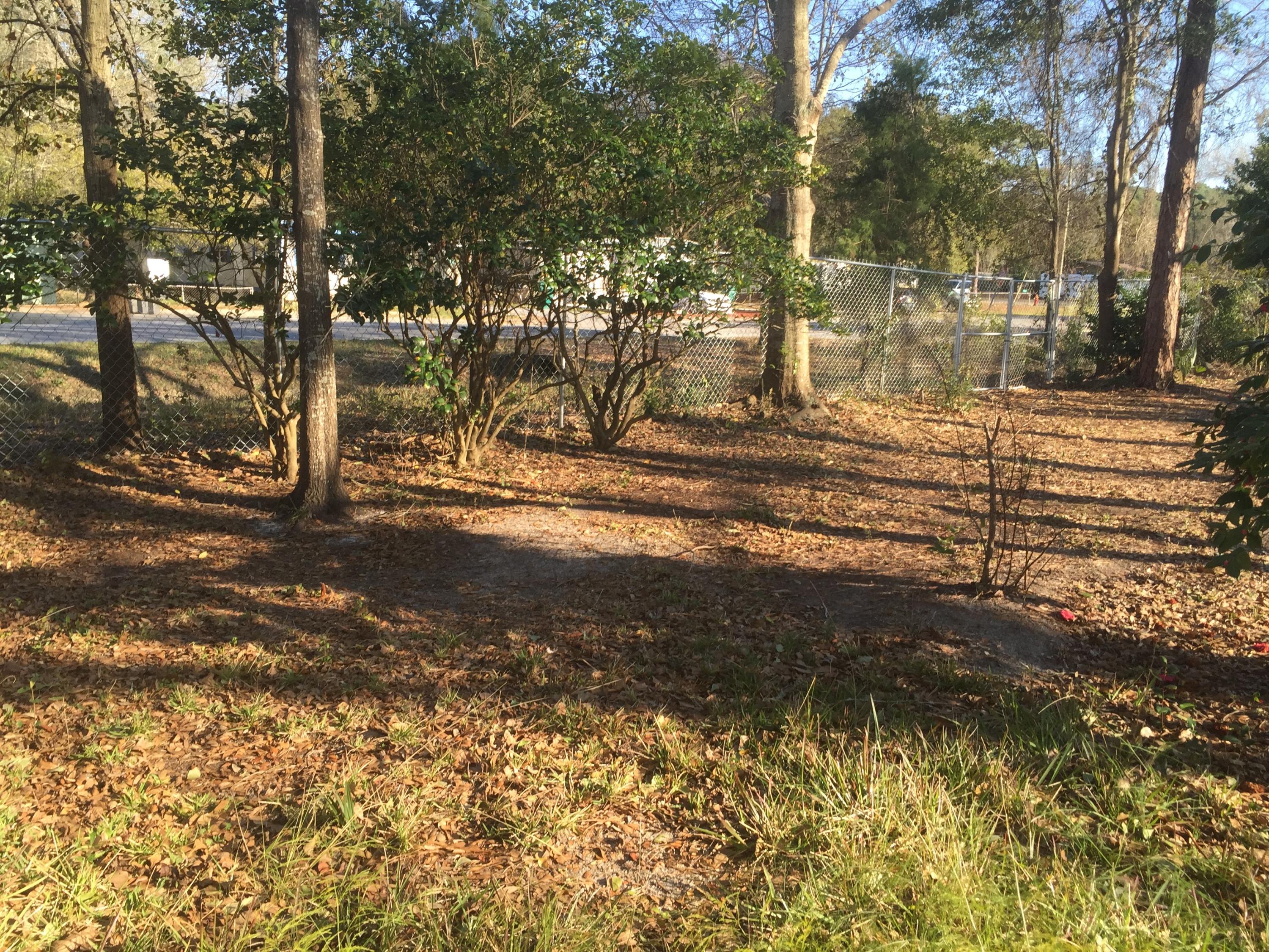 PORT DIXIE - Residential