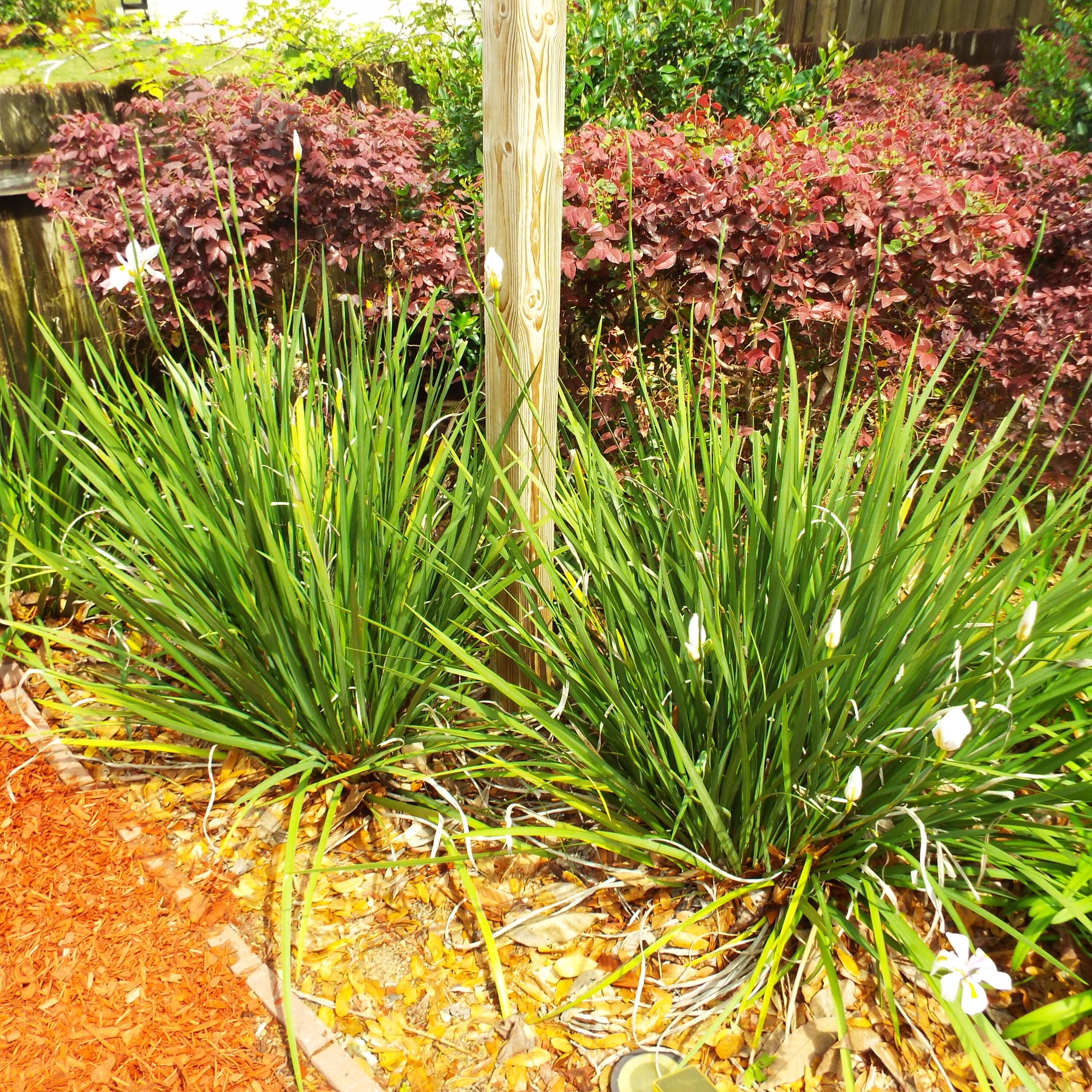 LAVALLET - Residential