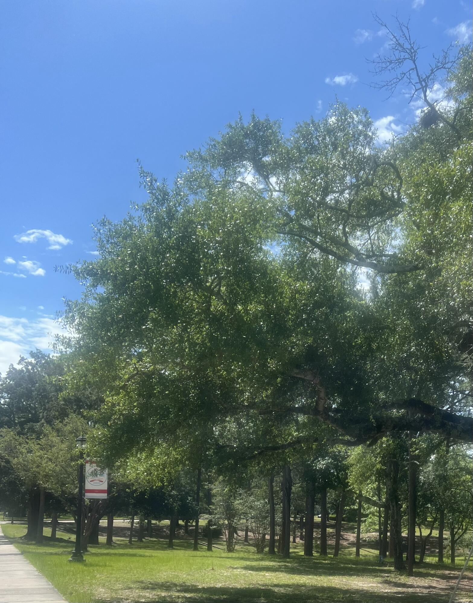 OAKWOOD HILLS UNIT 2 - Land