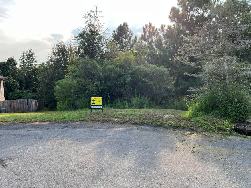 Relisted at $35,000.  Located south of I-10 in Browning Ct on cul-de-sac Lot 11 is perfect for a new home.  Some trees and brush will need to be cleared, lot slopes gently to west.