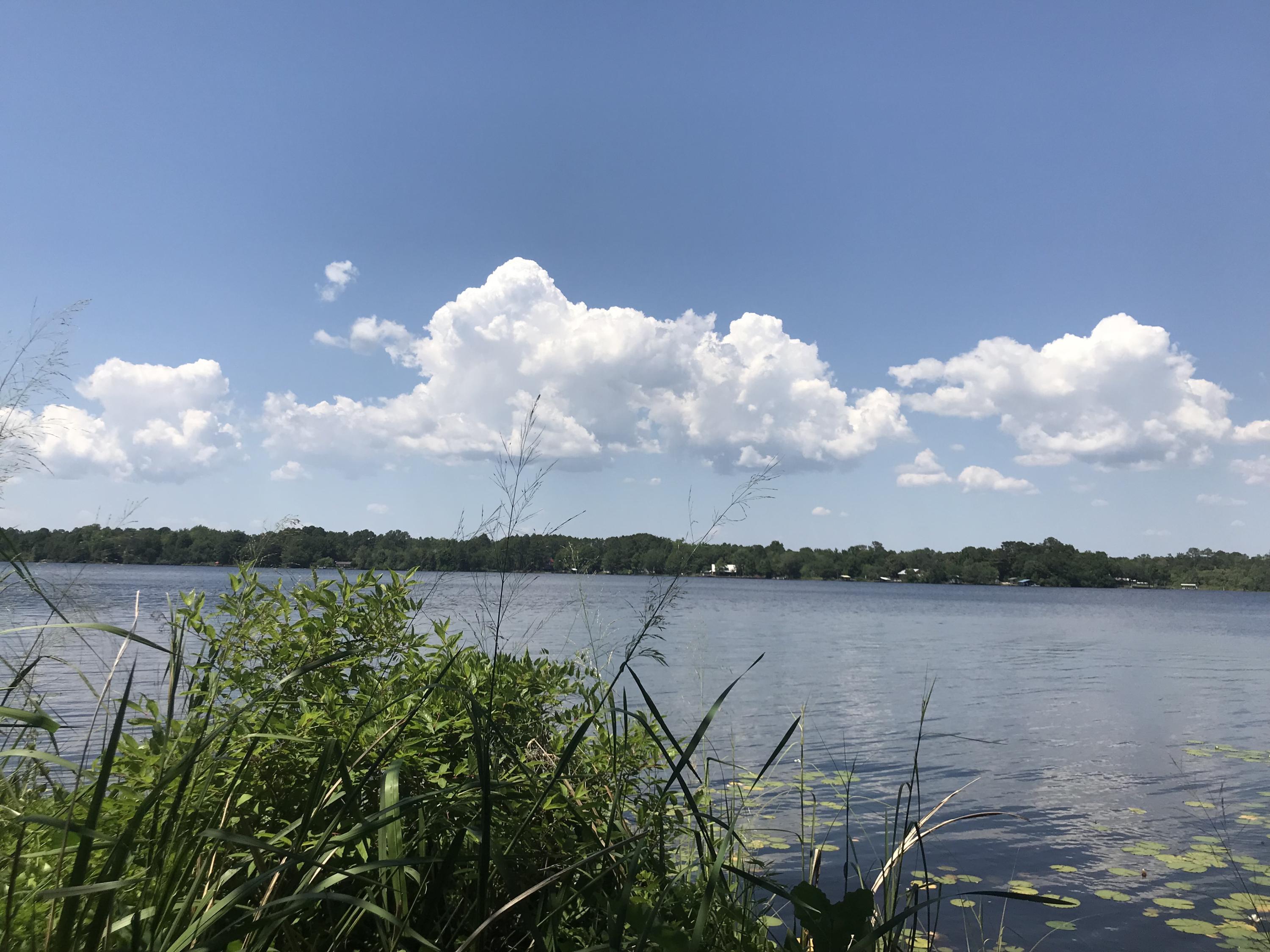 Two parcels under same listing. Bay County parcel05405-005-000 and 05405-010-000. Beautiful waterfront undeveloped lots. Great location to build that dream waterfront home. Established neighborhood with long time residences. These are rare waterfront lots in High Point neighborhood.