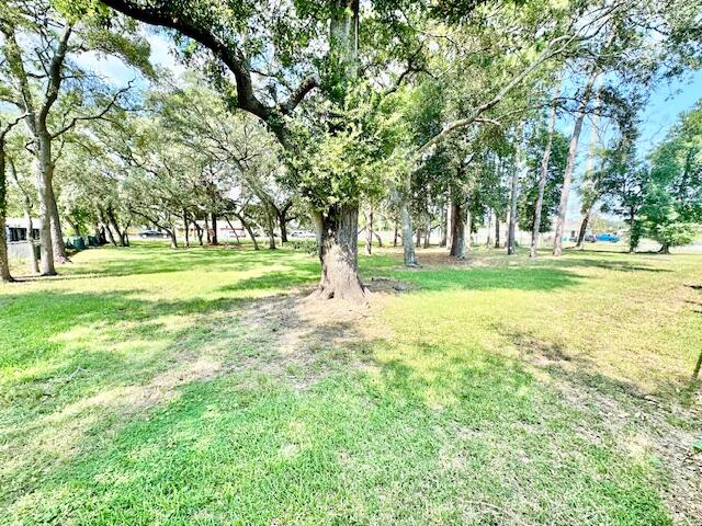 DONCASTER WOODS - Residential