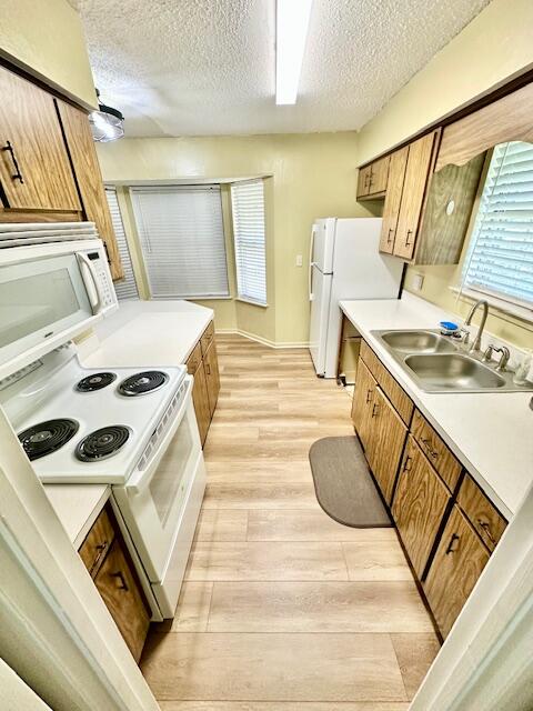 DONCASTER WOODS - Residential