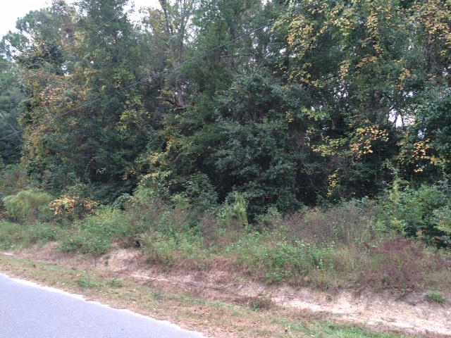 Generous sized 75x150 lot across the street from Choctawhatchee Bay. Beautiful quarter acre parcel, high & dry, with mature trees that offers a location that can't be beat. Build your dream house at the bay with no build out time or HOA fees. Adjoining lot (5) to the east is also available. Location is within a 10 min drive to 30A beaches, shopping, dining, entertainment & activity. ***Buyer is responsible for personally verifying details about this property. All information contained on the listing is believed to be accurate but not guaranteed. ***