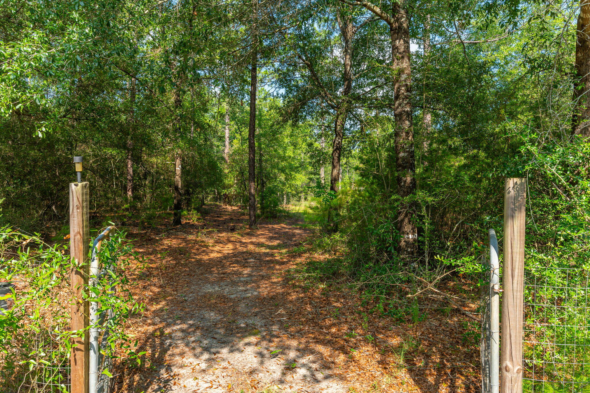 Mare Creek - Residential