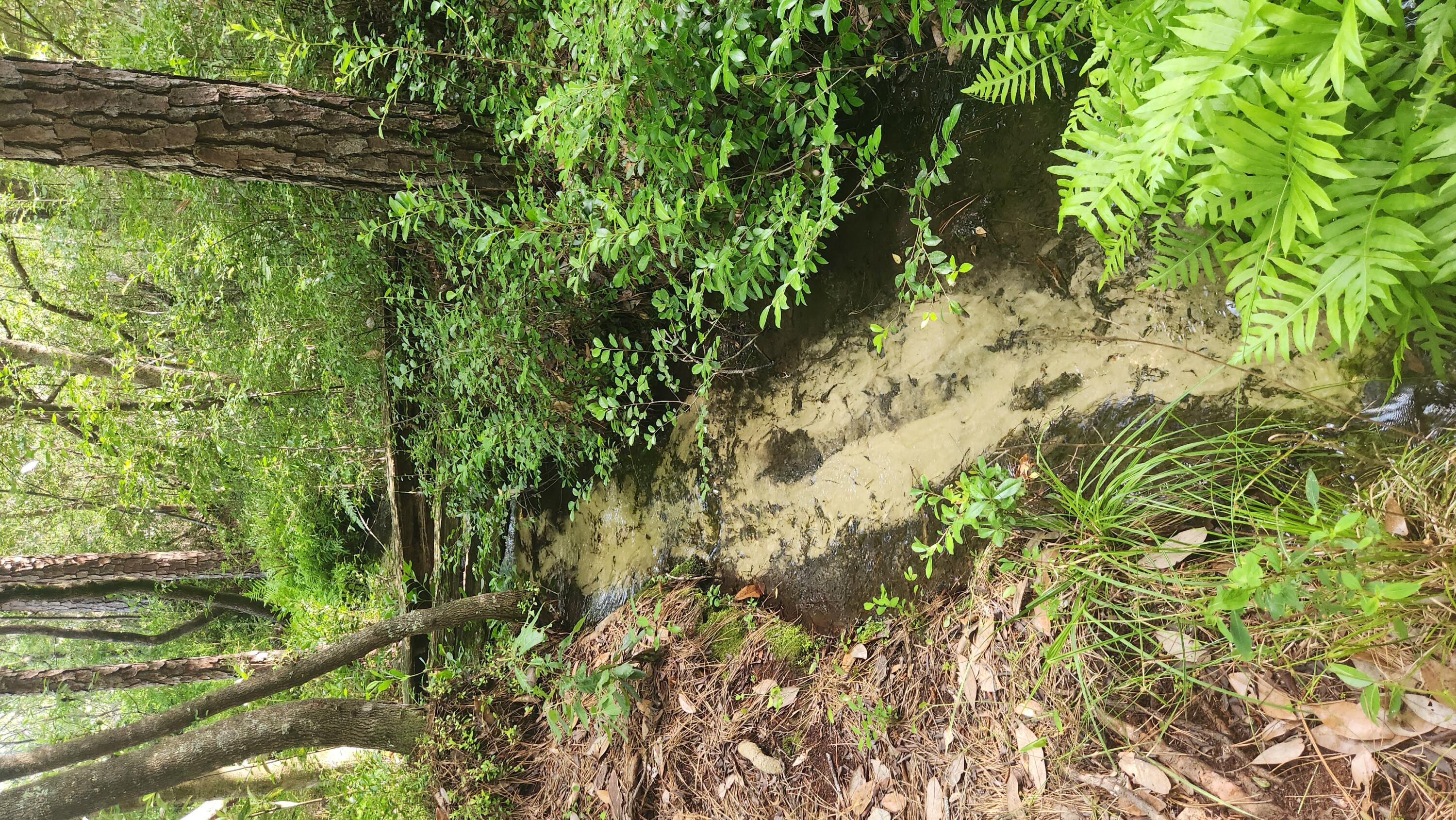 Mare Creek - Residential