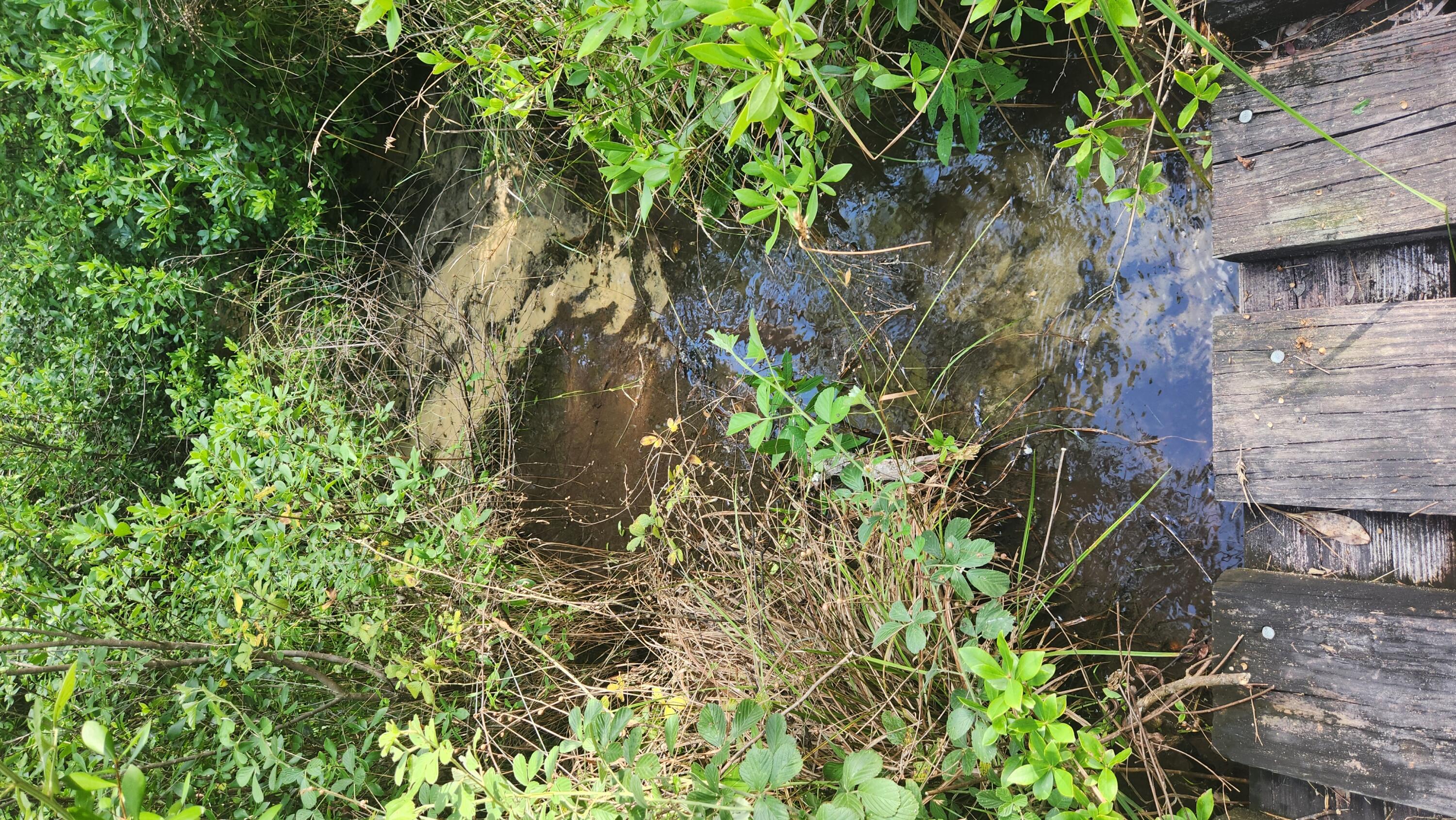 Mare Creek - Residential