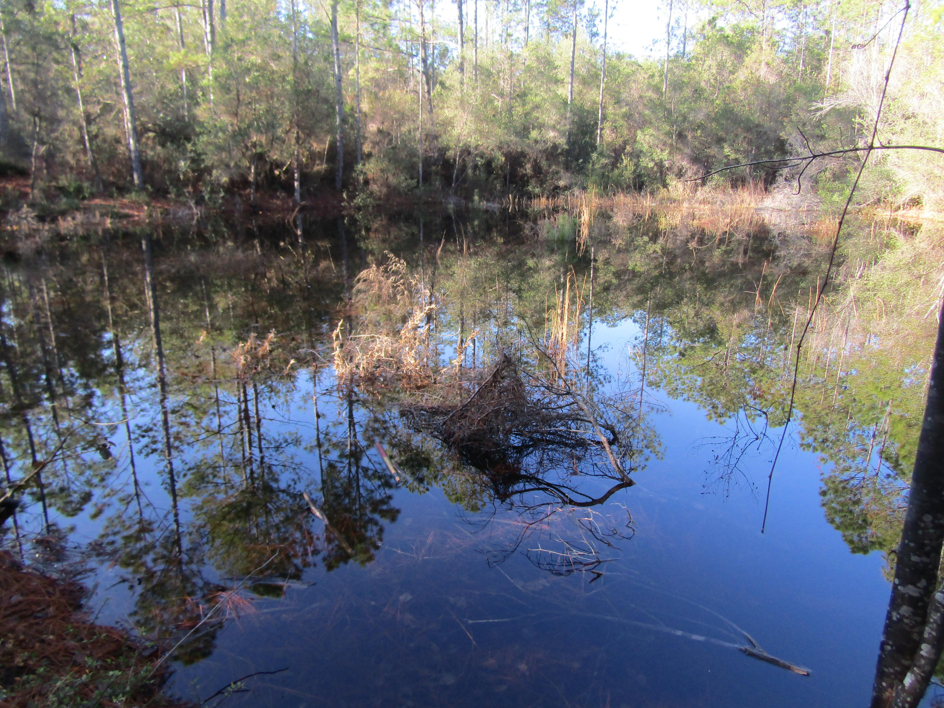 MILL CREEK ESTATES - Residential