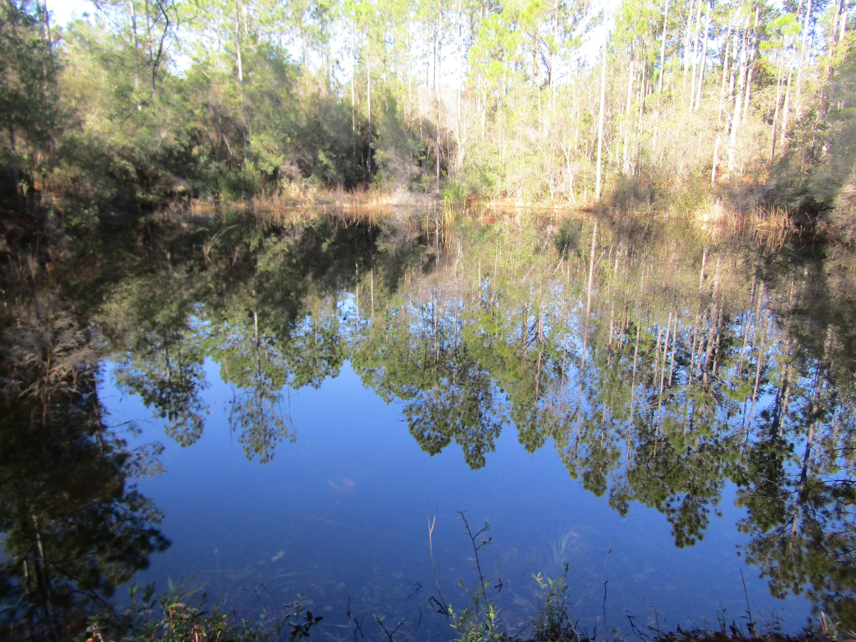 MILL CREEK ESTATES - Residential