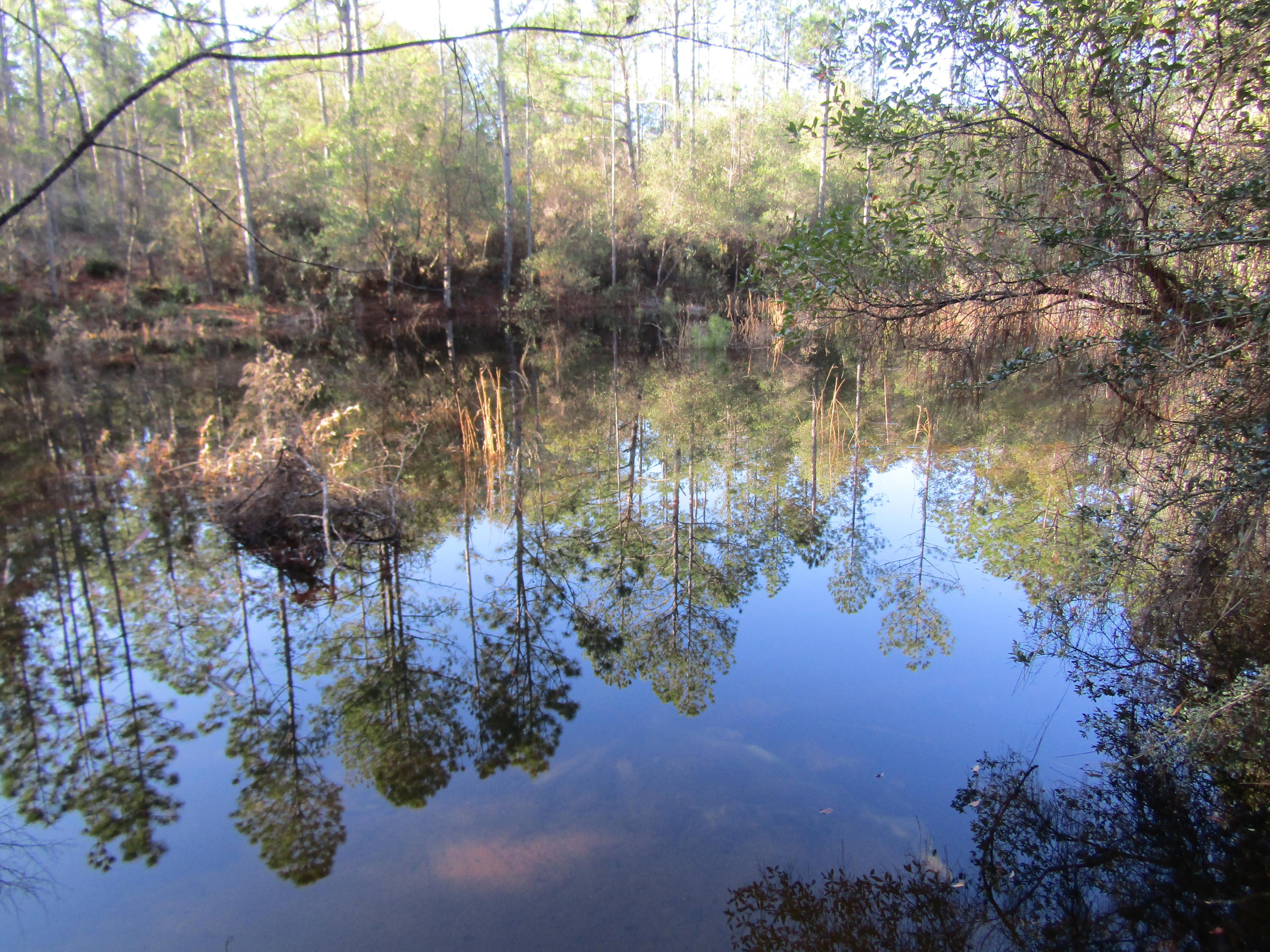 MILL CREEK ESTATES - Residential