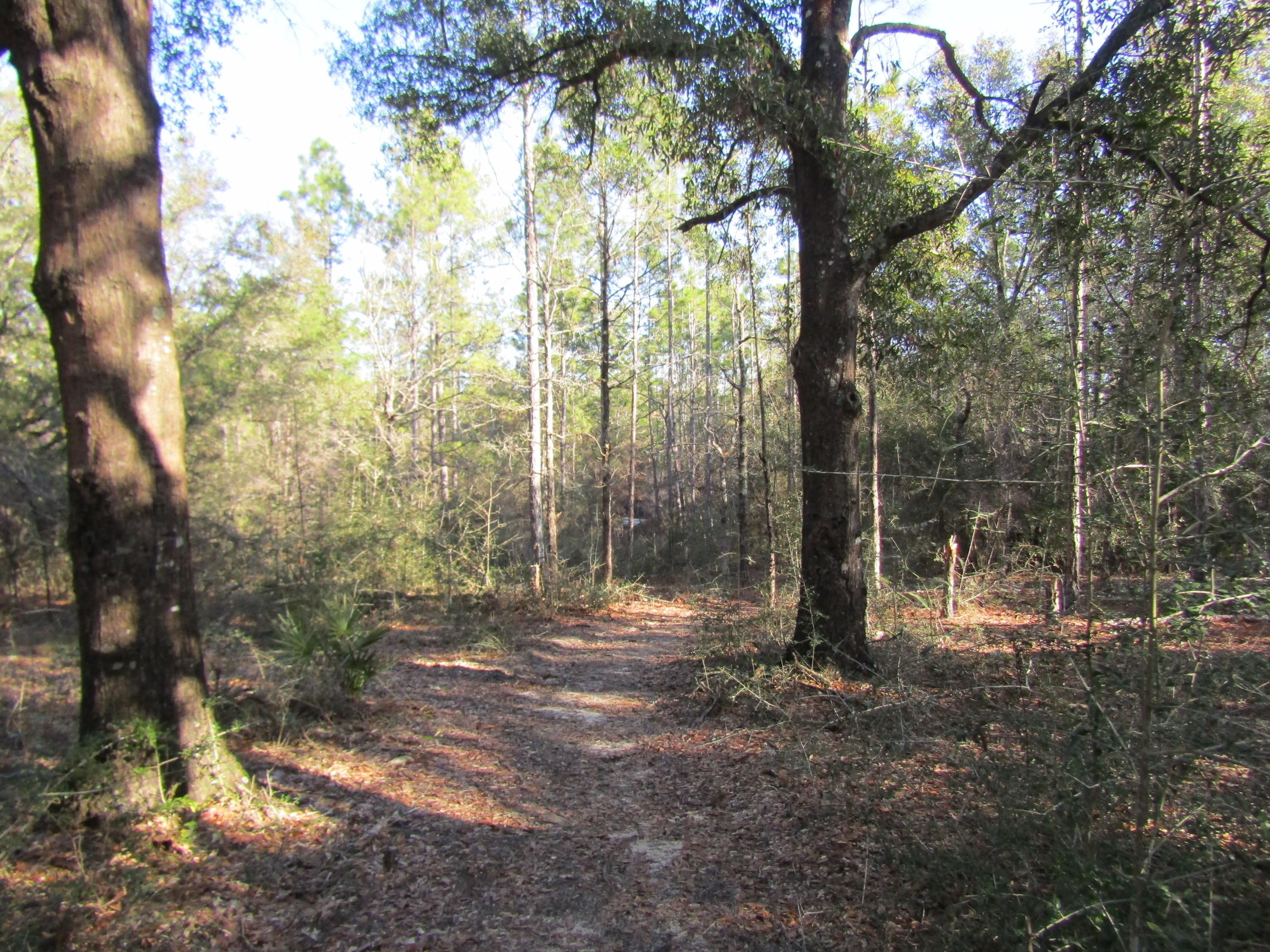 MILL CREEK ESTATES - Residential