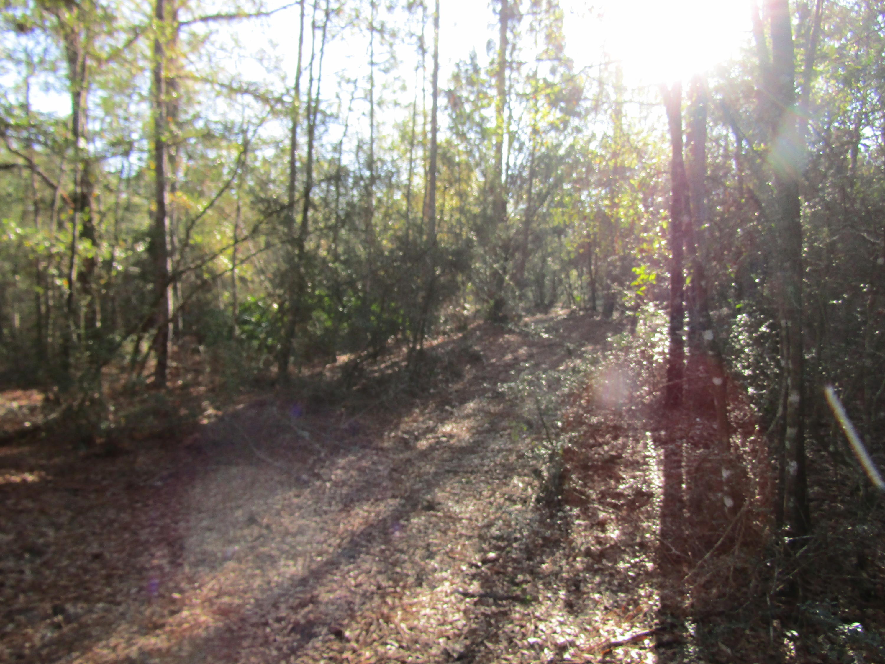 MILL CREEK ESTATES - Residential