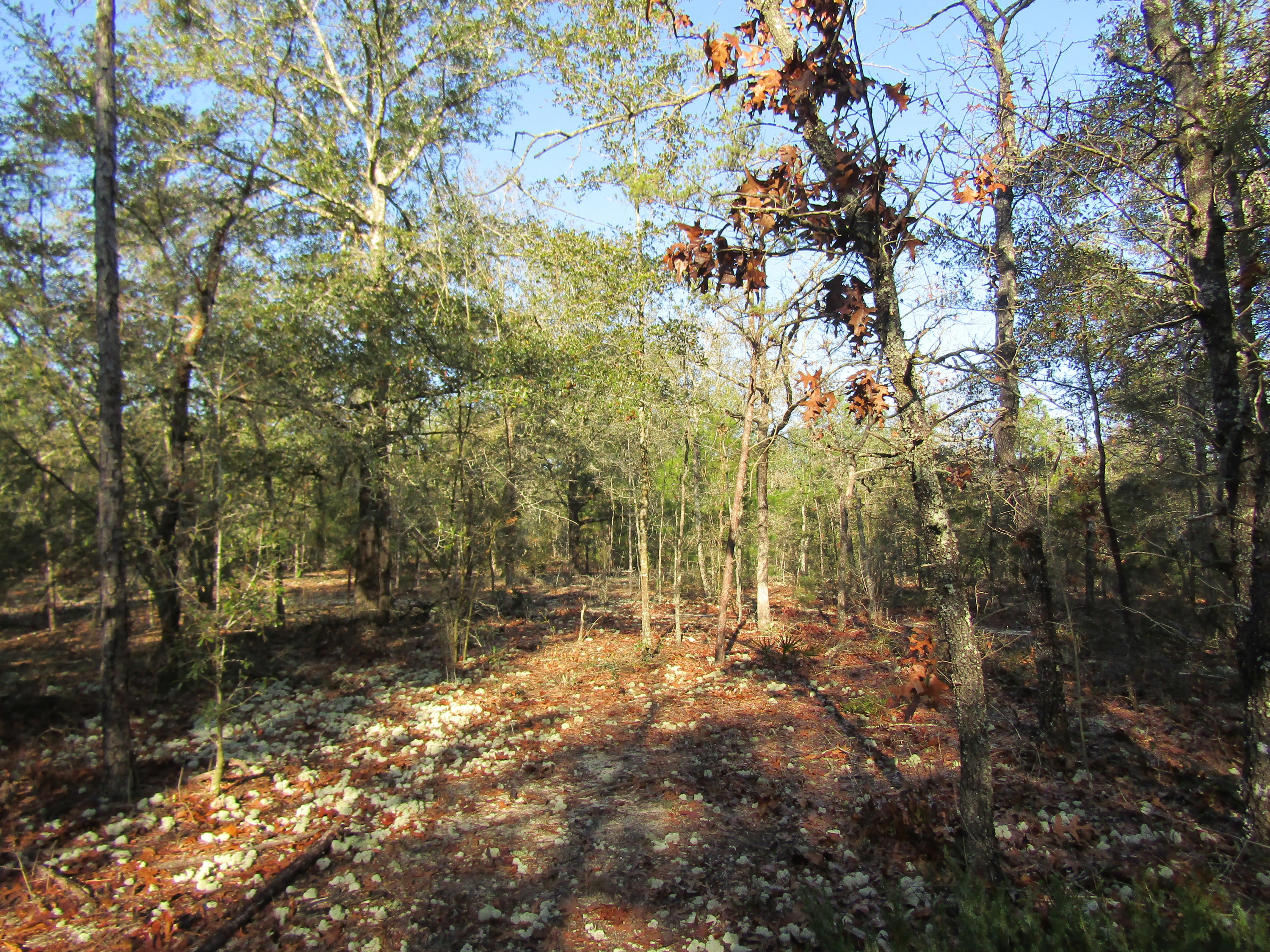 MILL CREEK ESTATES - Residential