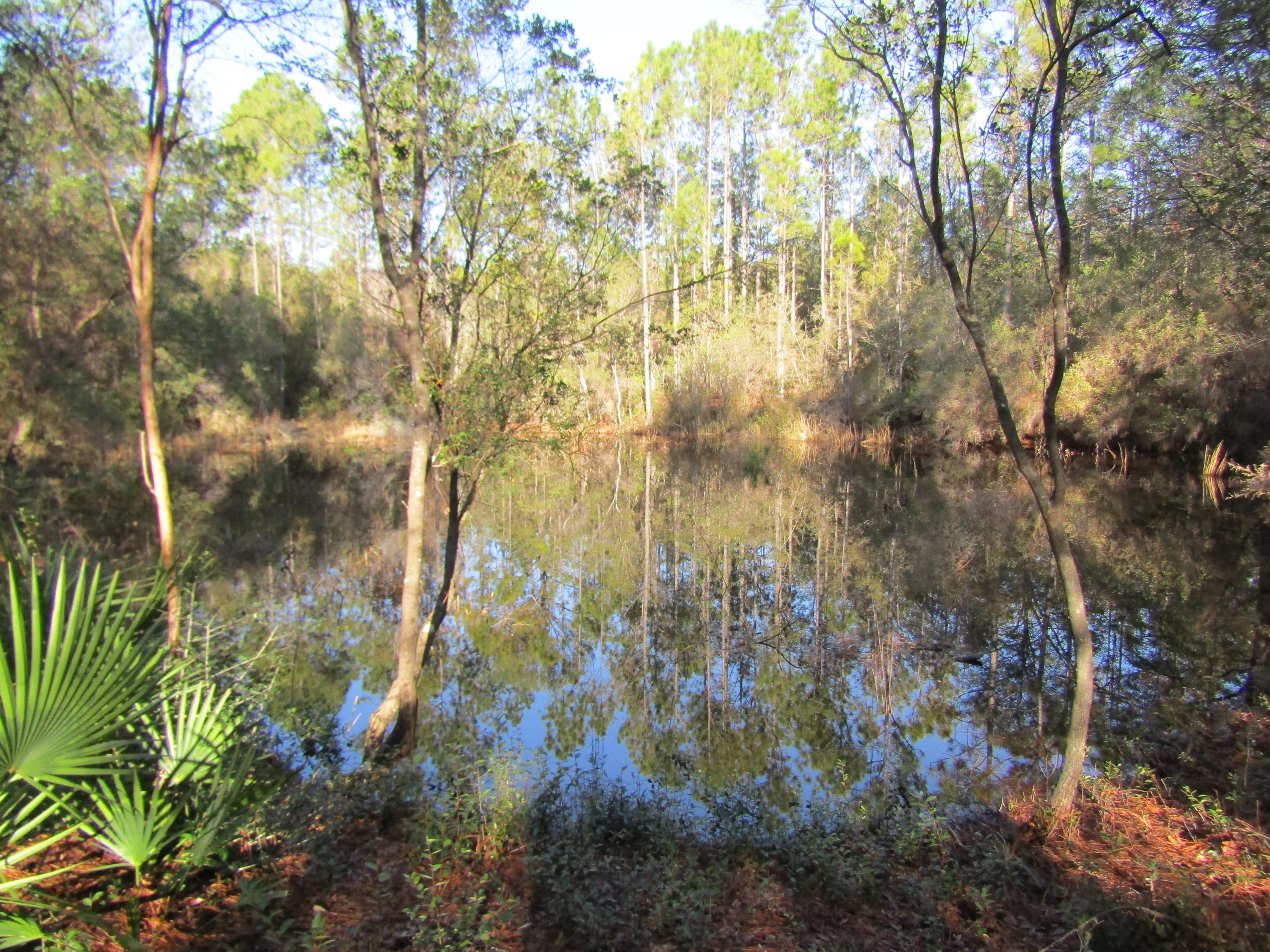 MILL CREEK ESTATES - Residential