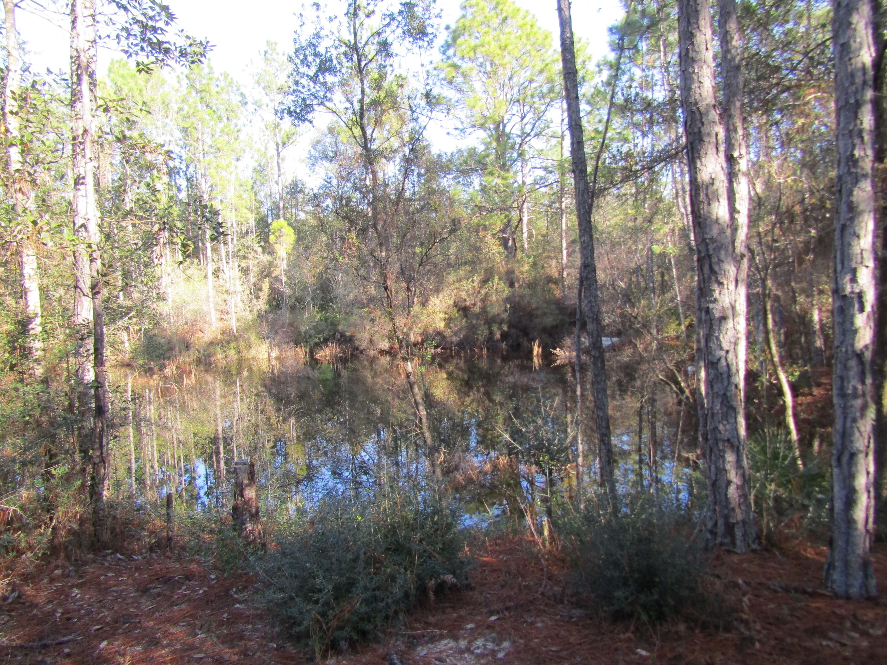 MILL CREEK ESTATES - Residential