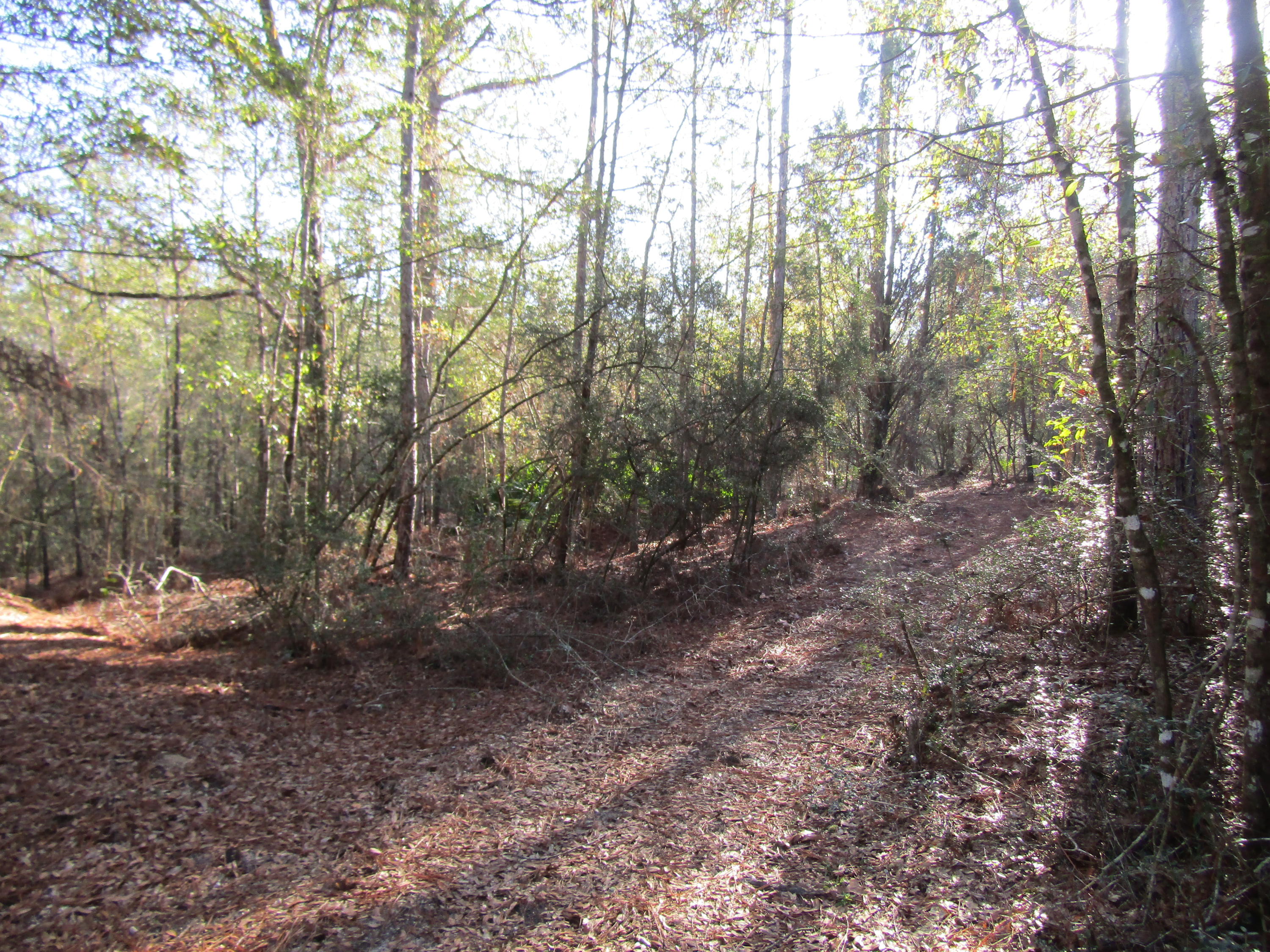 MILL CREEK ESTATES - Residential