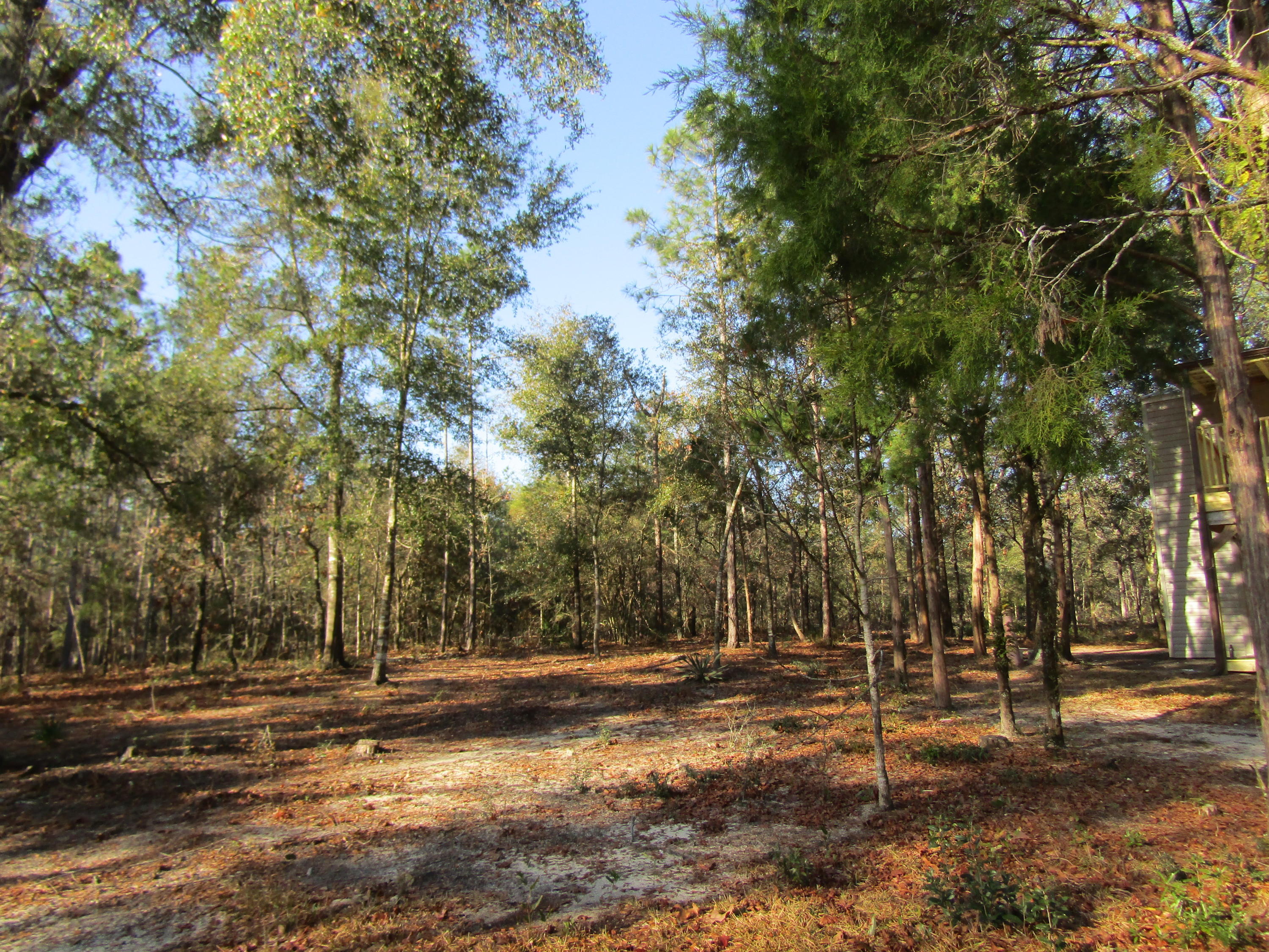 MILL CREEK ESTATES - Residential