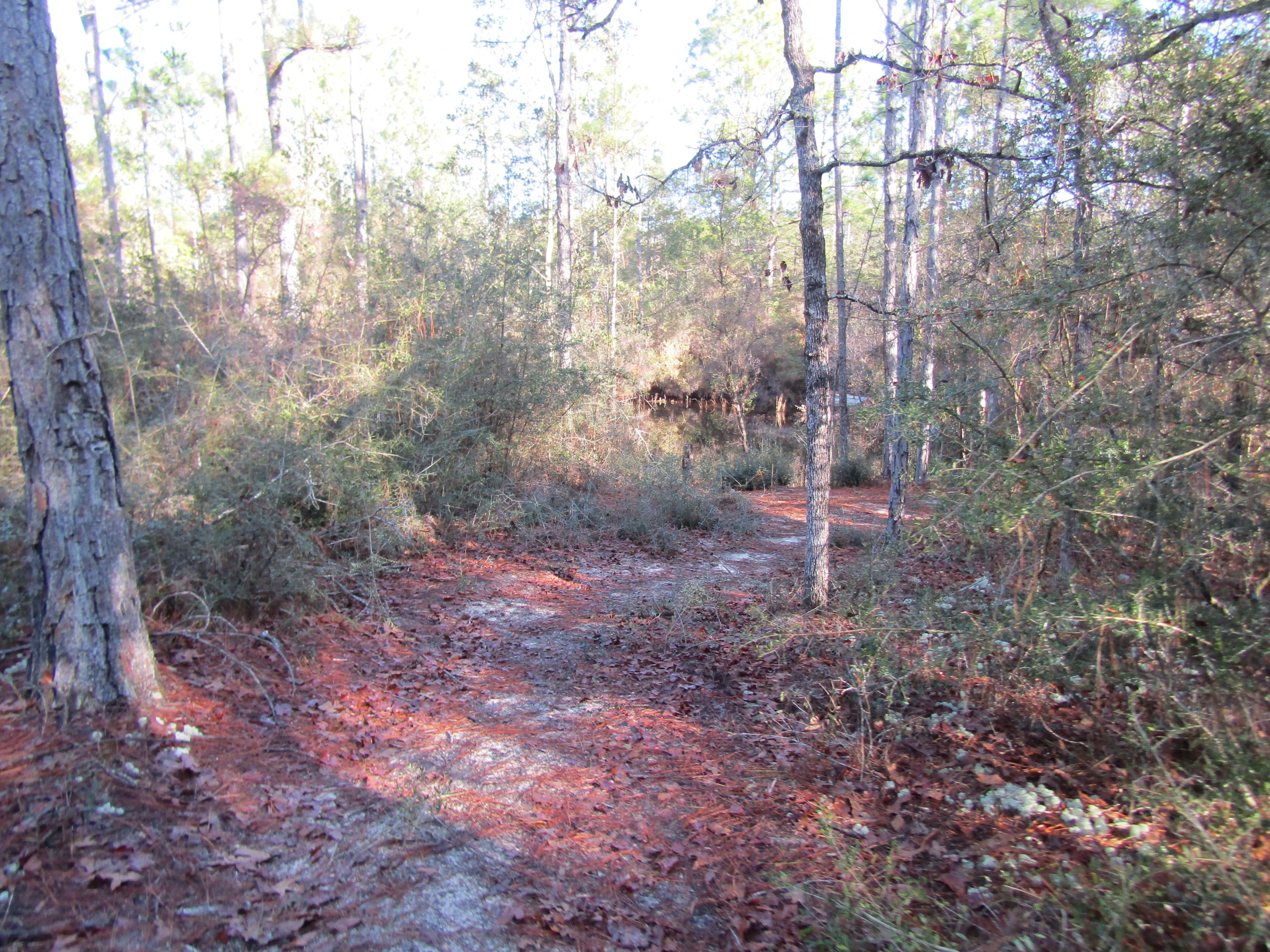 MILL CREEK ESTATES - Residential