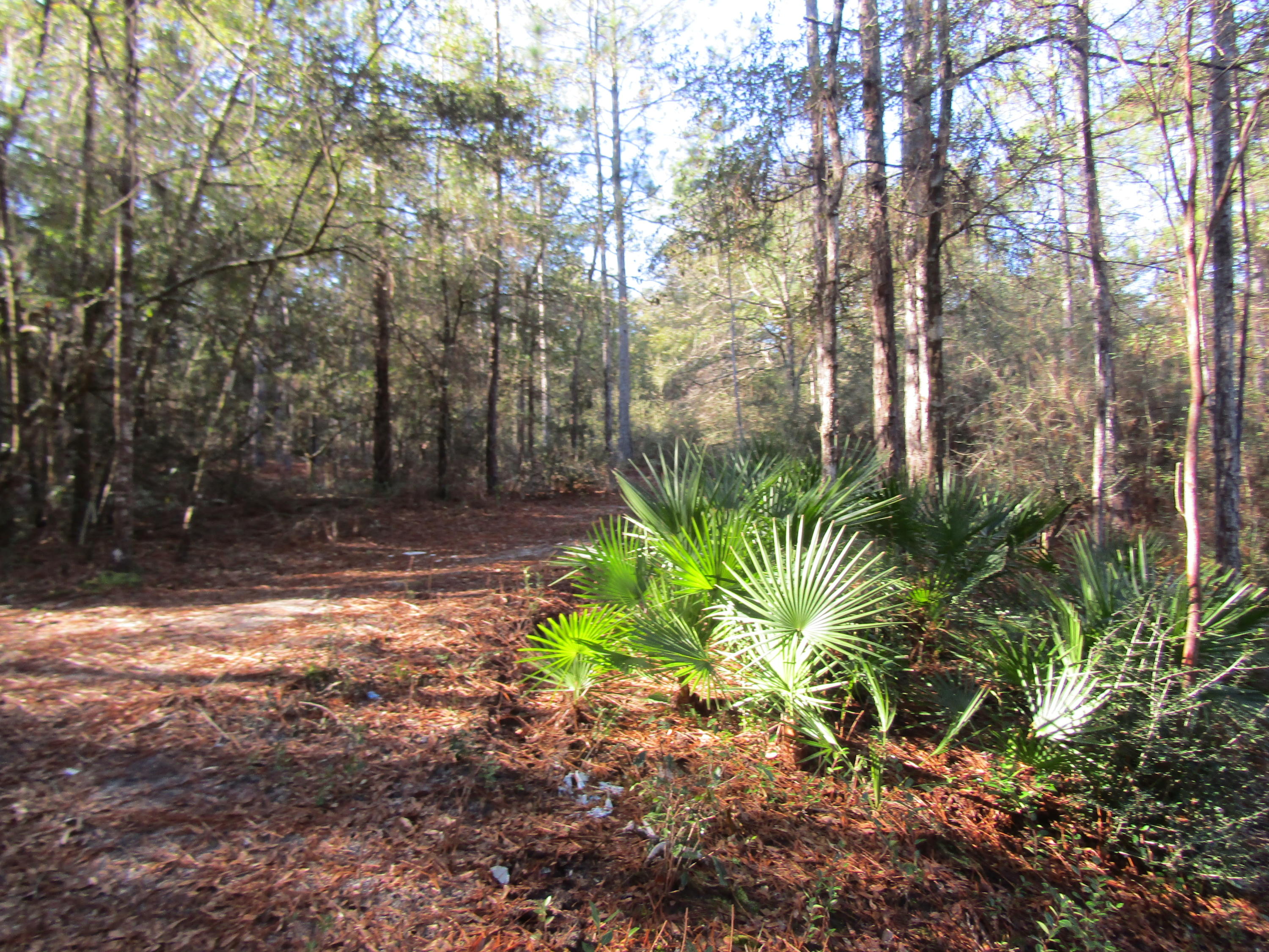 MILL CREEK ESTATES - Residential