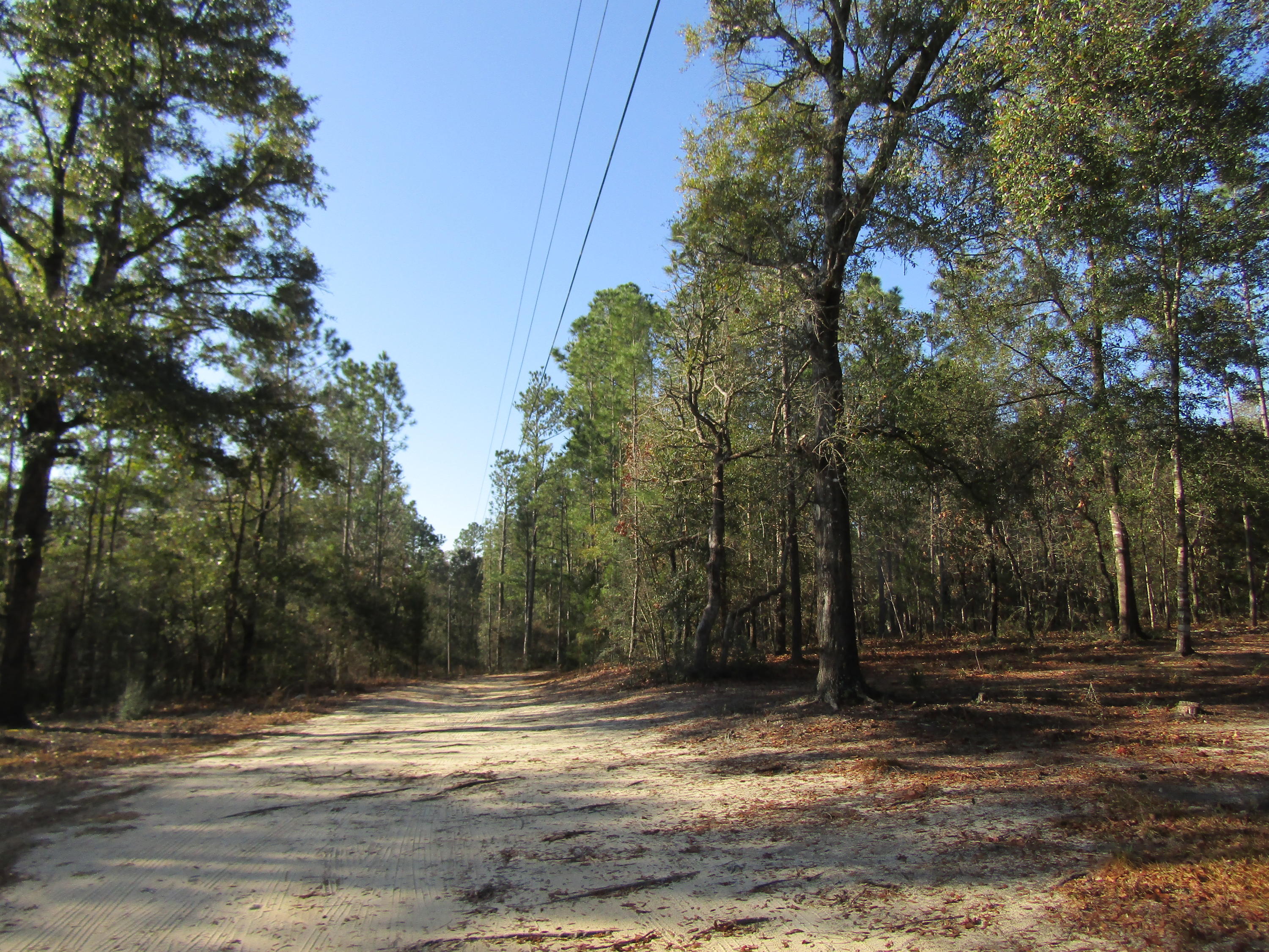 MILL CREEK ESTATES - Residential