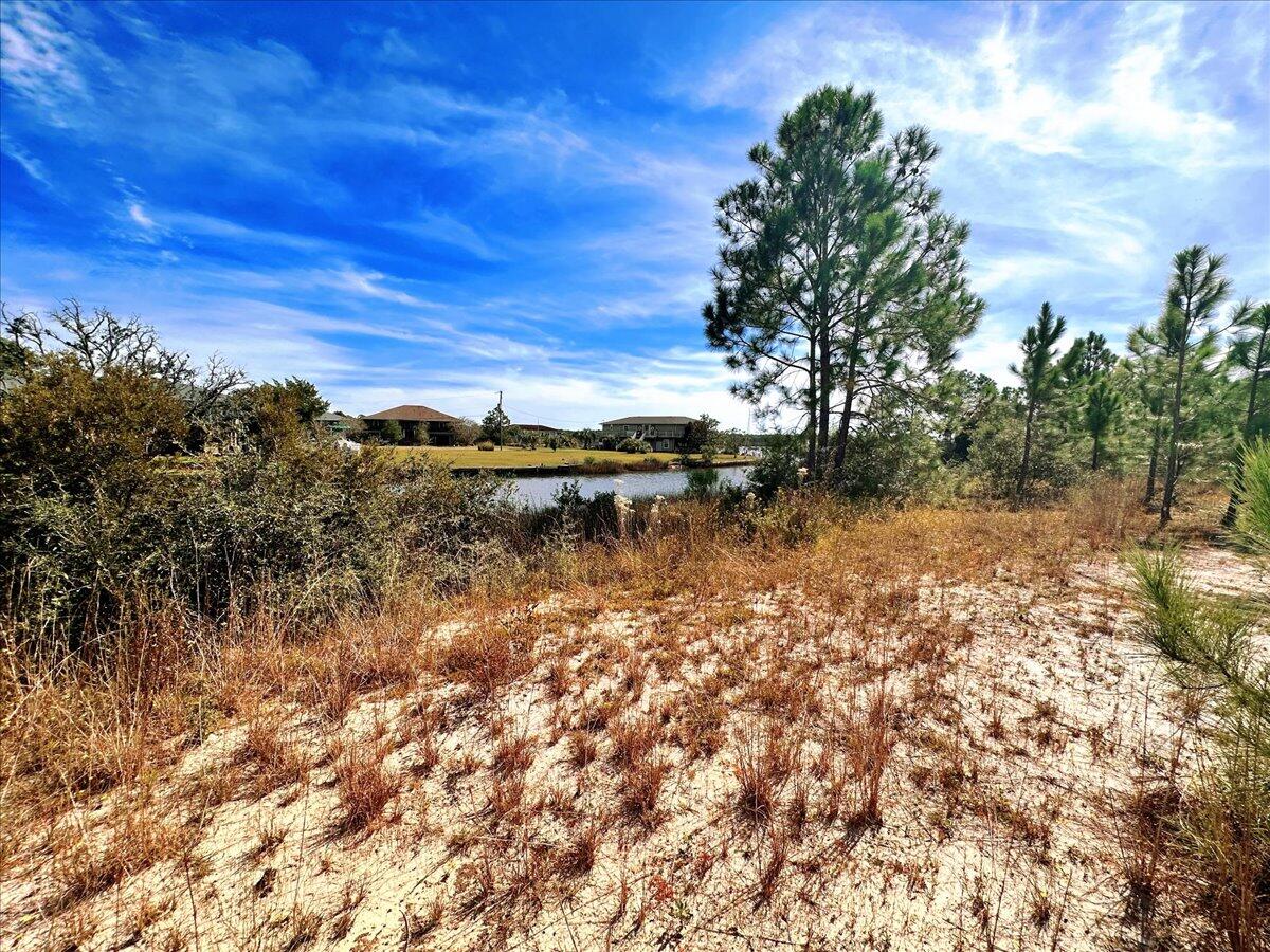 AVALON BEACH - Land