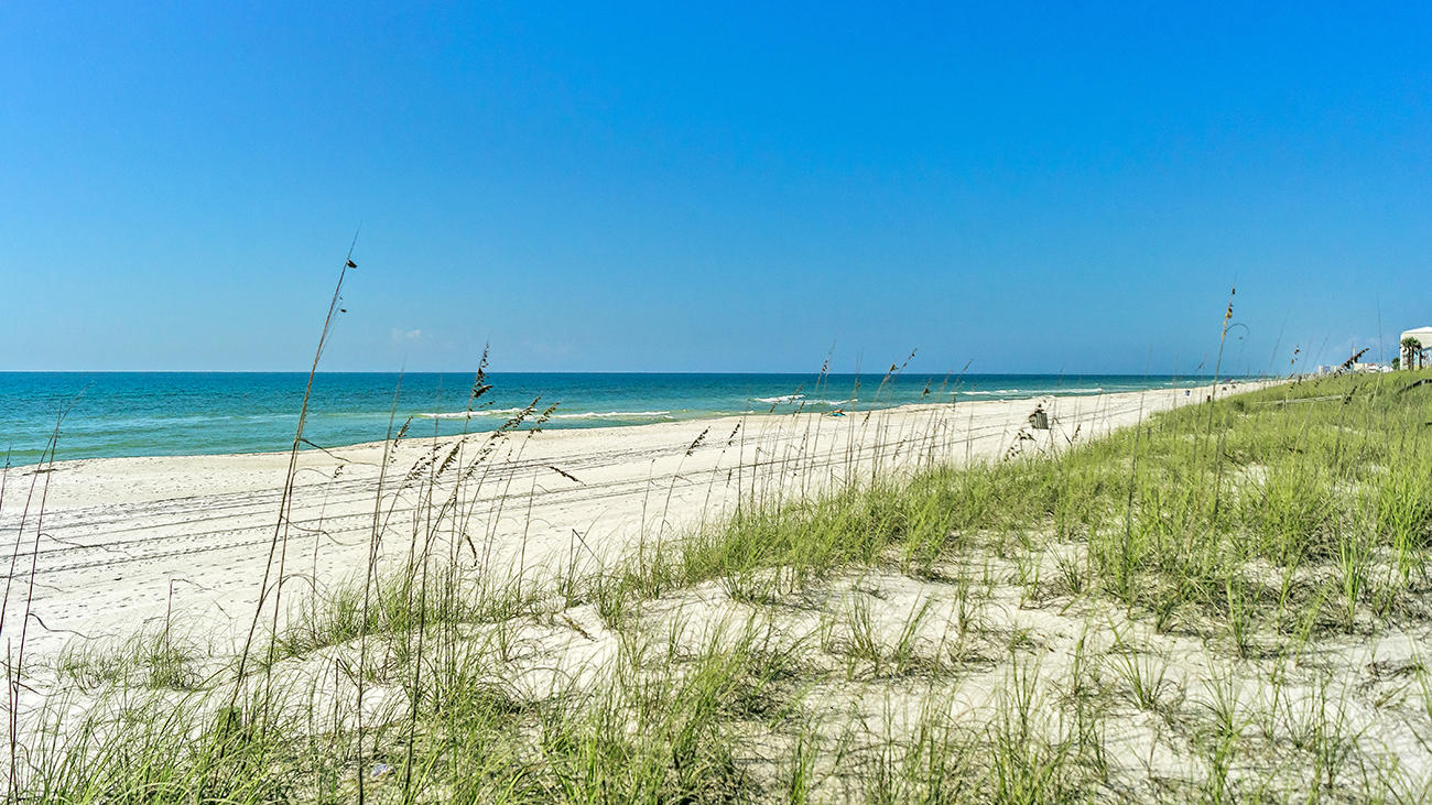 Inlet Beach - Residential