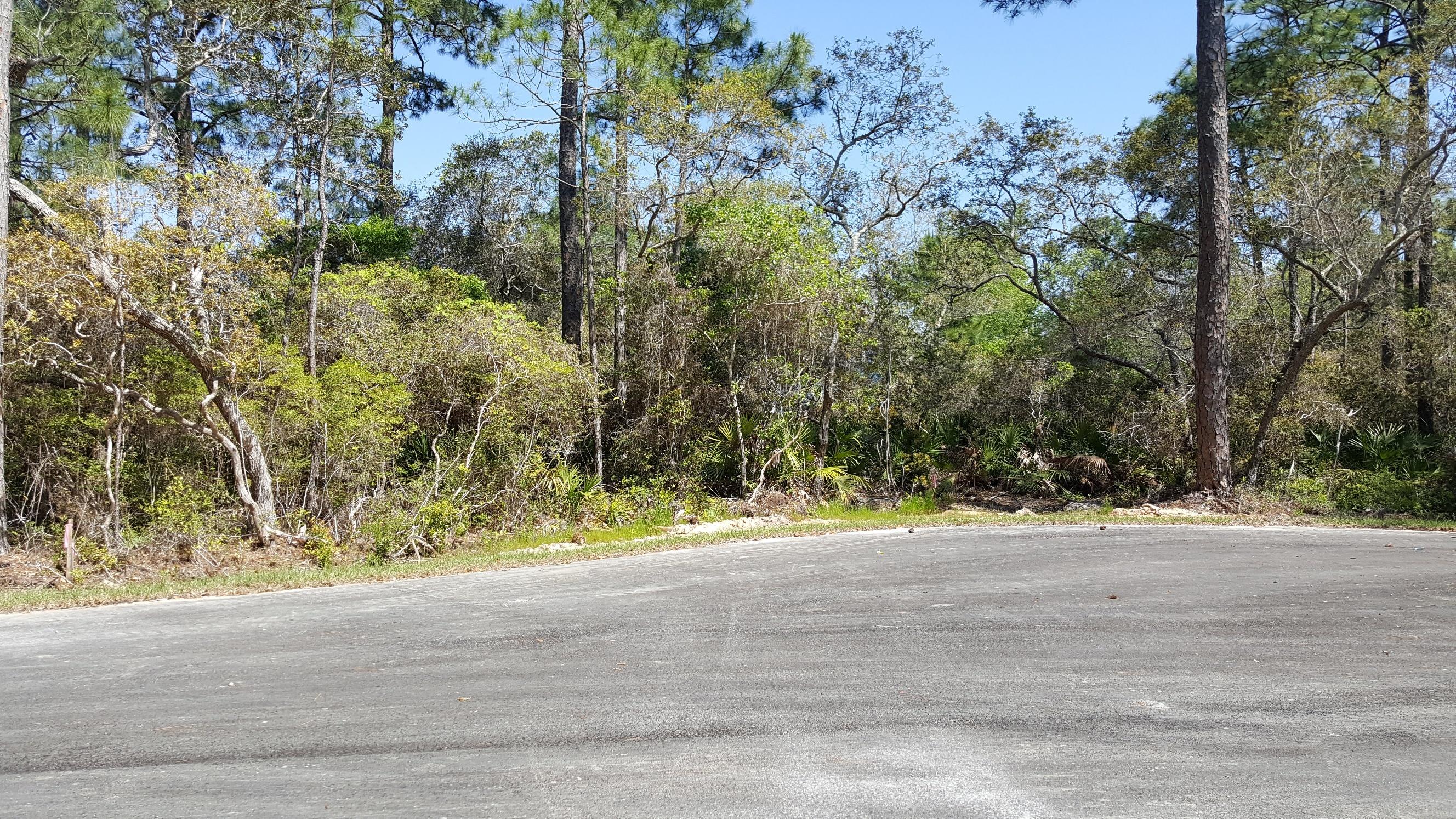 MACK BAYOU PARK - Land