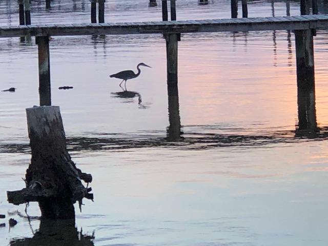 SPARKLING WATERS - Residential