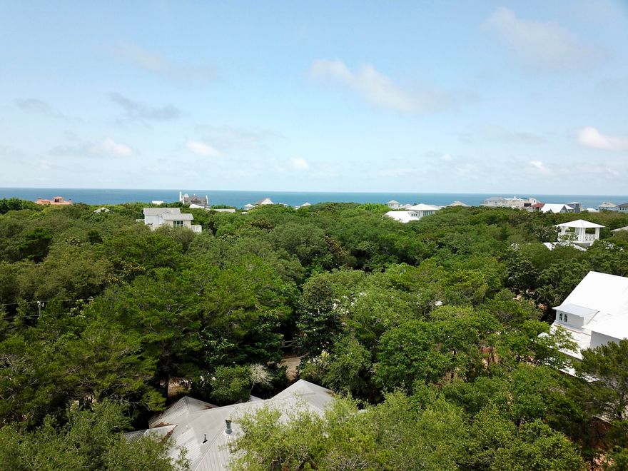 Quaint, cozy, and convenient are three of the best words to describe Old Seagrove! Quiet and laid back, you are sheltered from the high-traffic areas of neighboring Seaside and Watercolor, but still a short walk, bike, or golf-cart ride away from all of their restaurants, shops, and other fantastic amenities. The incredible white-sand beaches are a five minute stroll from the lot, and there is public access directly across 30A. It is one of the few areas on 30A where you can still enjoy quiet serenity amongst the oaks and magnolias. Conveniences like a bank, Publix grocery, a wine store, Pizza by the Sea, etc.. are less than a mile away and are accessible by golf-cart! You truly cannot find a better location when it comes to convenience and environment!