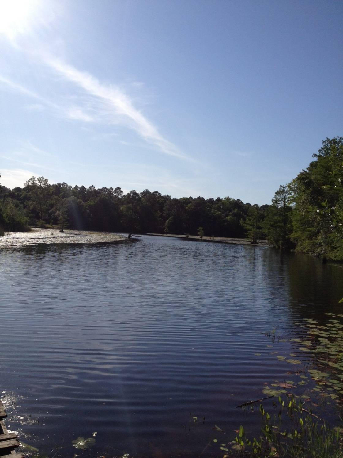 LAKESHORE LANDING - Residential
