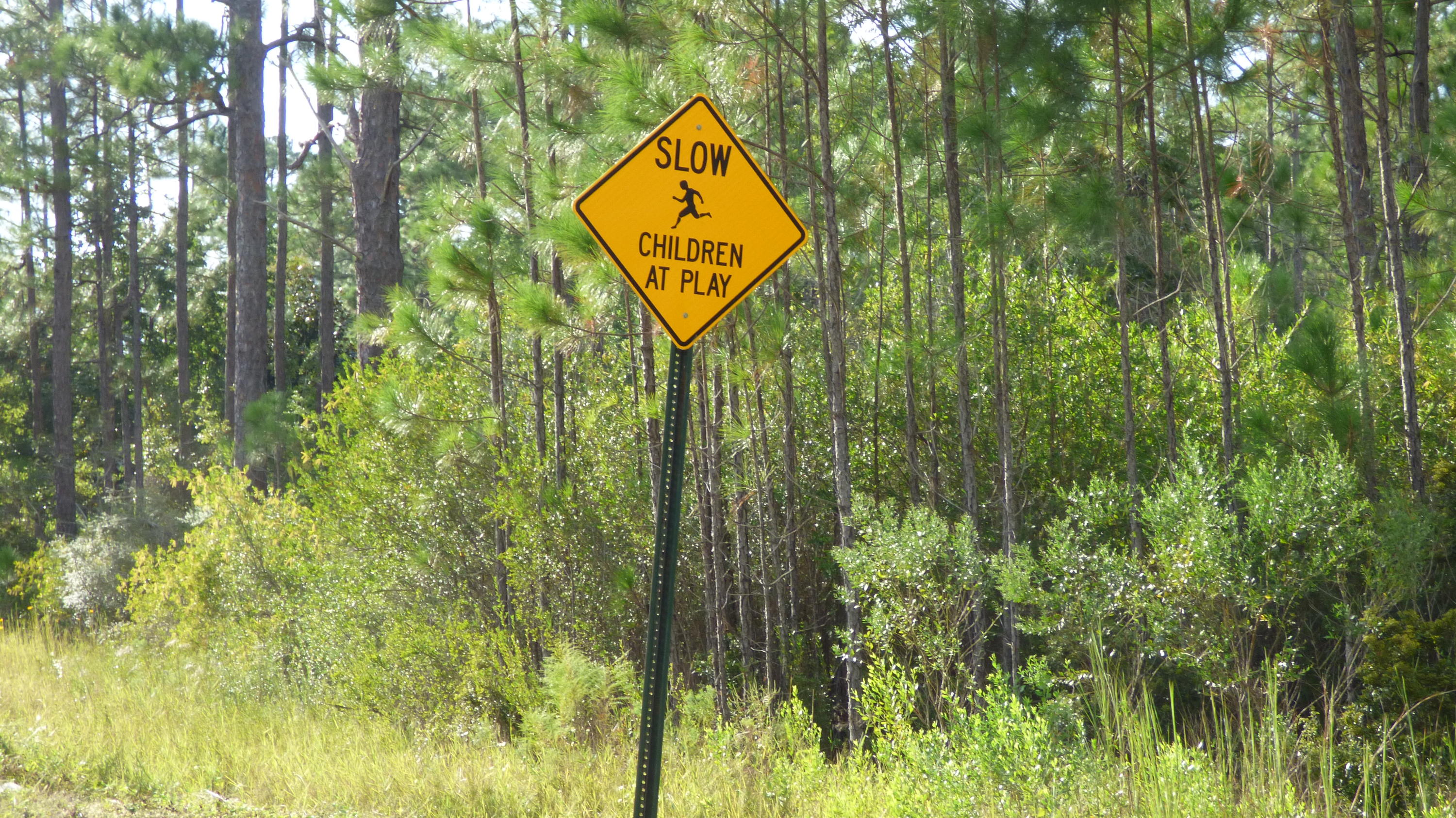 METES & BOUNDS - Land