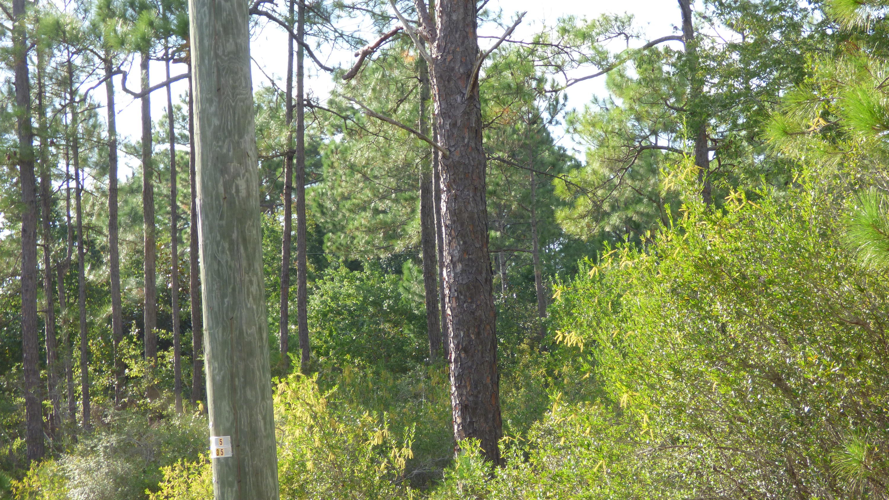 METES & BOUNDS - Land