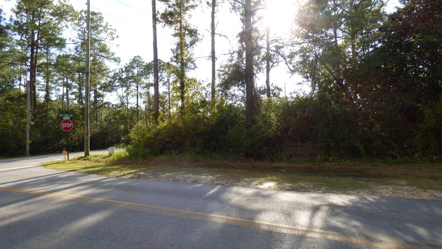 8 contiguous lots. Perfect for someone who wants to build several homes or build one home on an estate size lot.