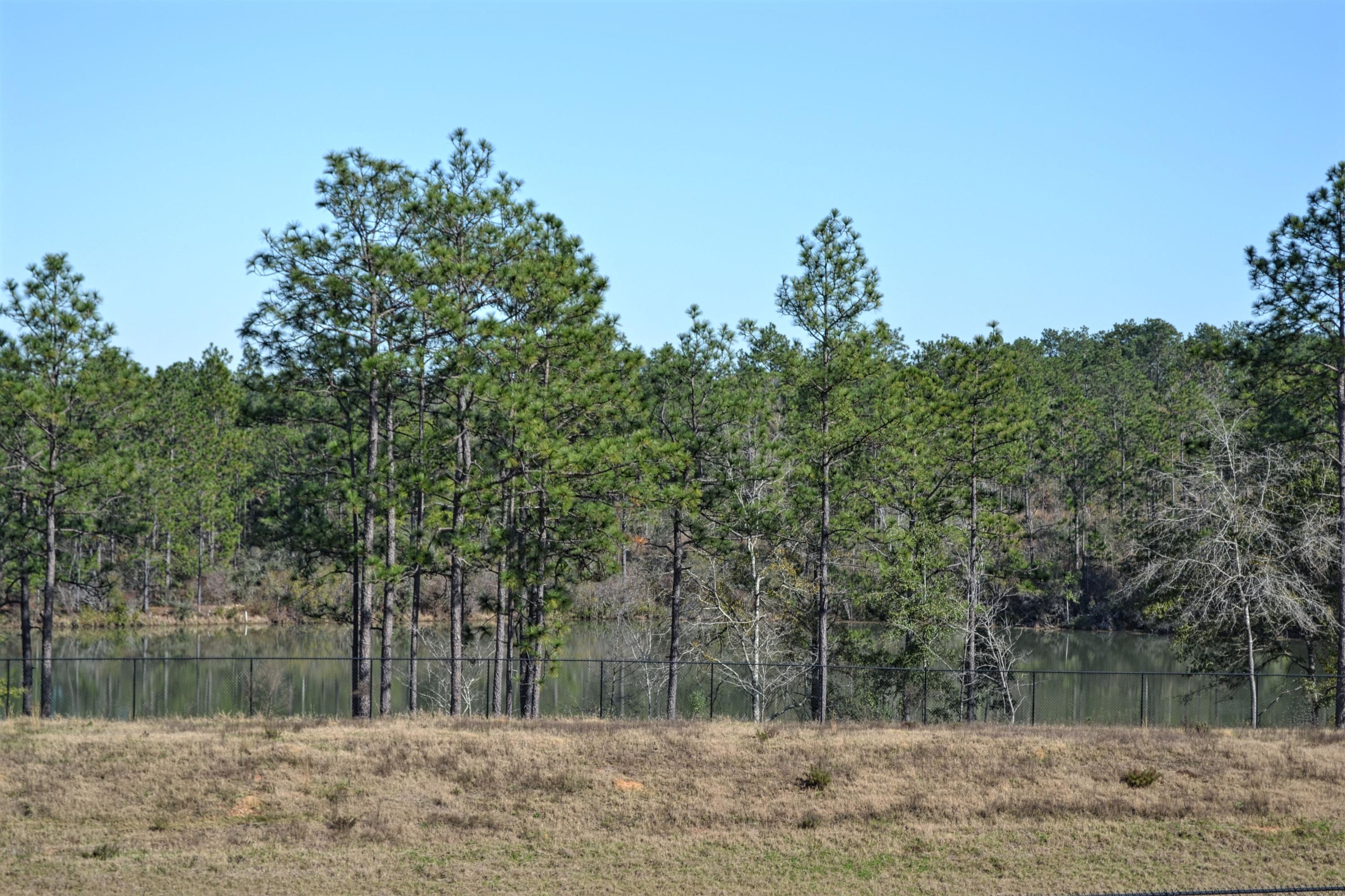 NATURE LAKE - Residential