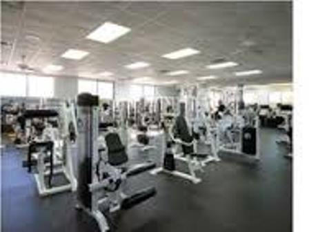 HOLLEY BY THE SEA - Land