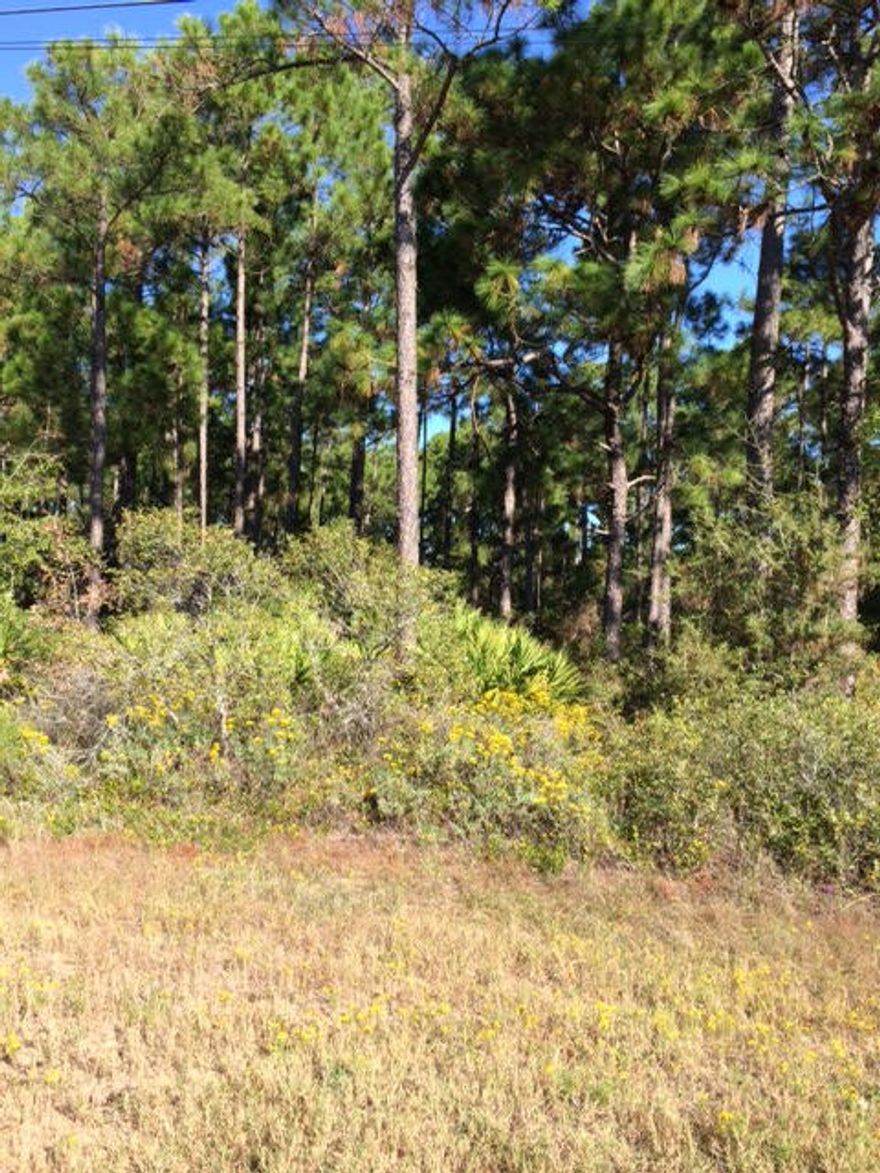 Vacant land for sale in Holley by the Sea, Navarre, FL. Build your dream home here on this almost half acre lot. This is a paved street with level lot and public sewer is available. Holley by the Sea boasts a state of the art Recreation Center with pools, tennis, parks, a beach side area and much more!