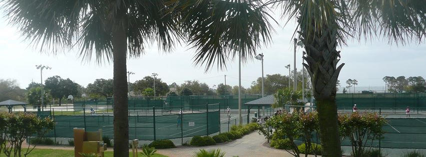 HOLLEY BY THE SEA - Land