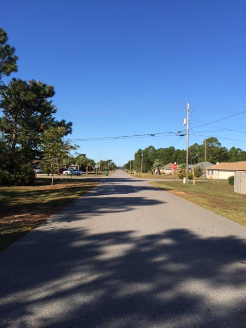 HOLLEY BY THE SEA - Land