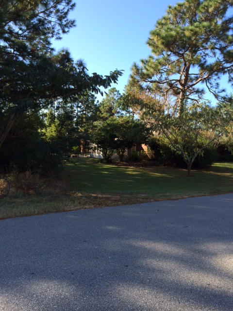 HOLLEY BY THE SEA - Land