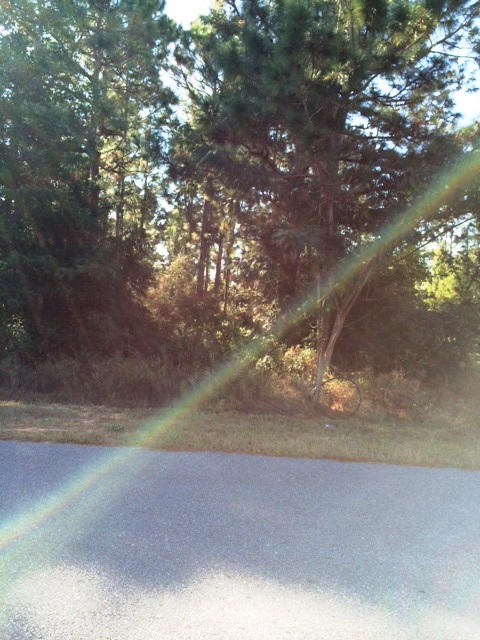 HOLLEY BY THE SEA - Land